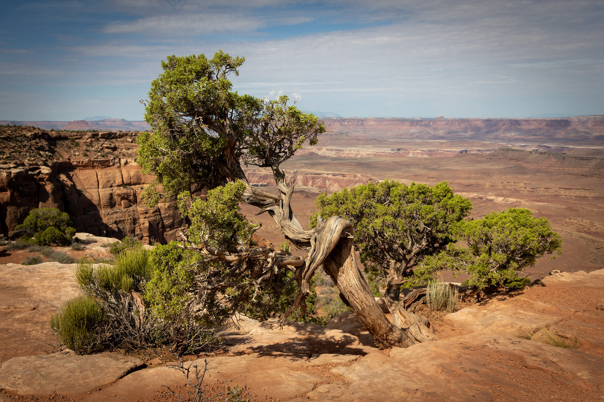 Canyonlands National Park in Moab, Utah