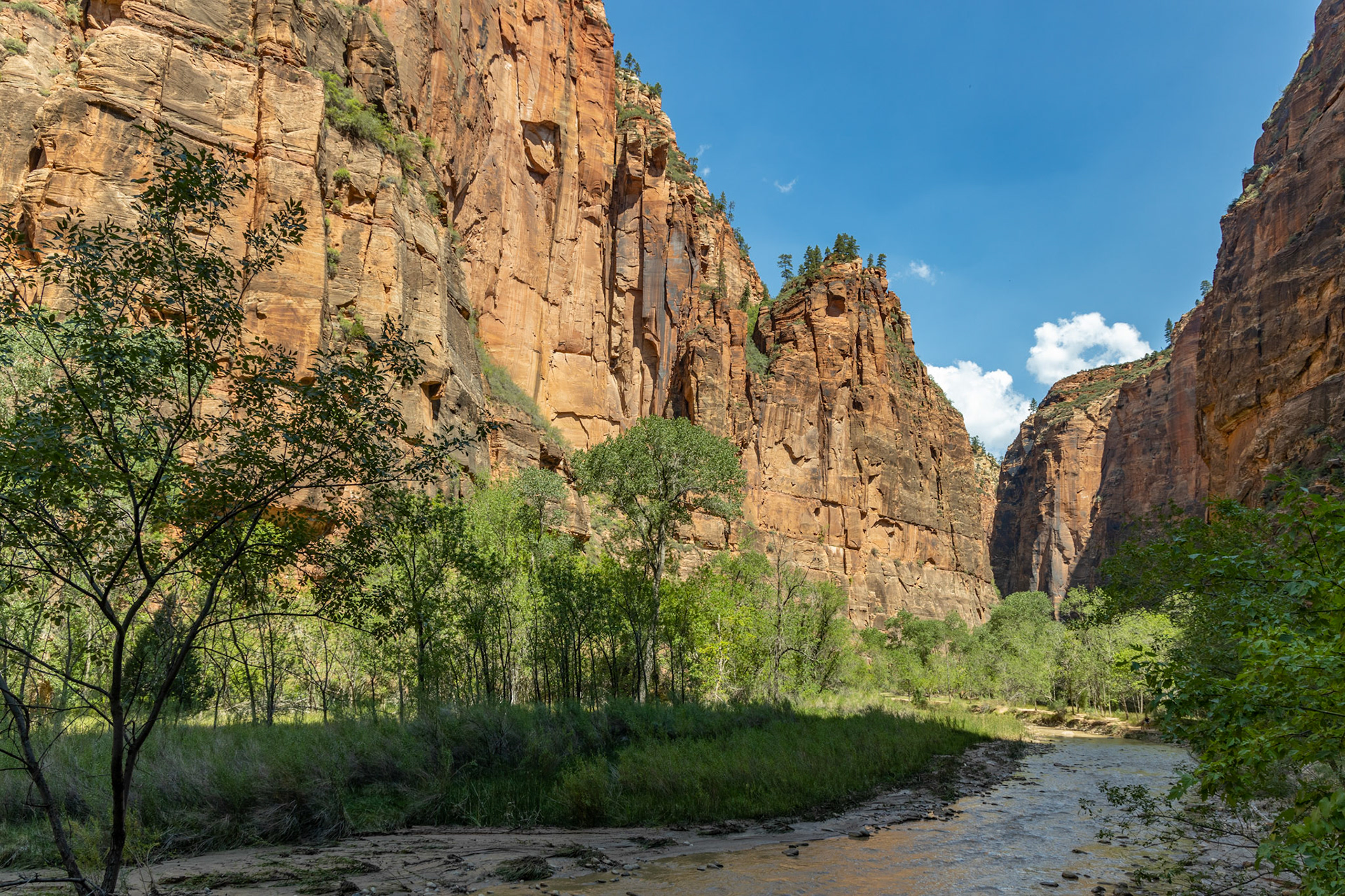 The Narrows at Zion National Park