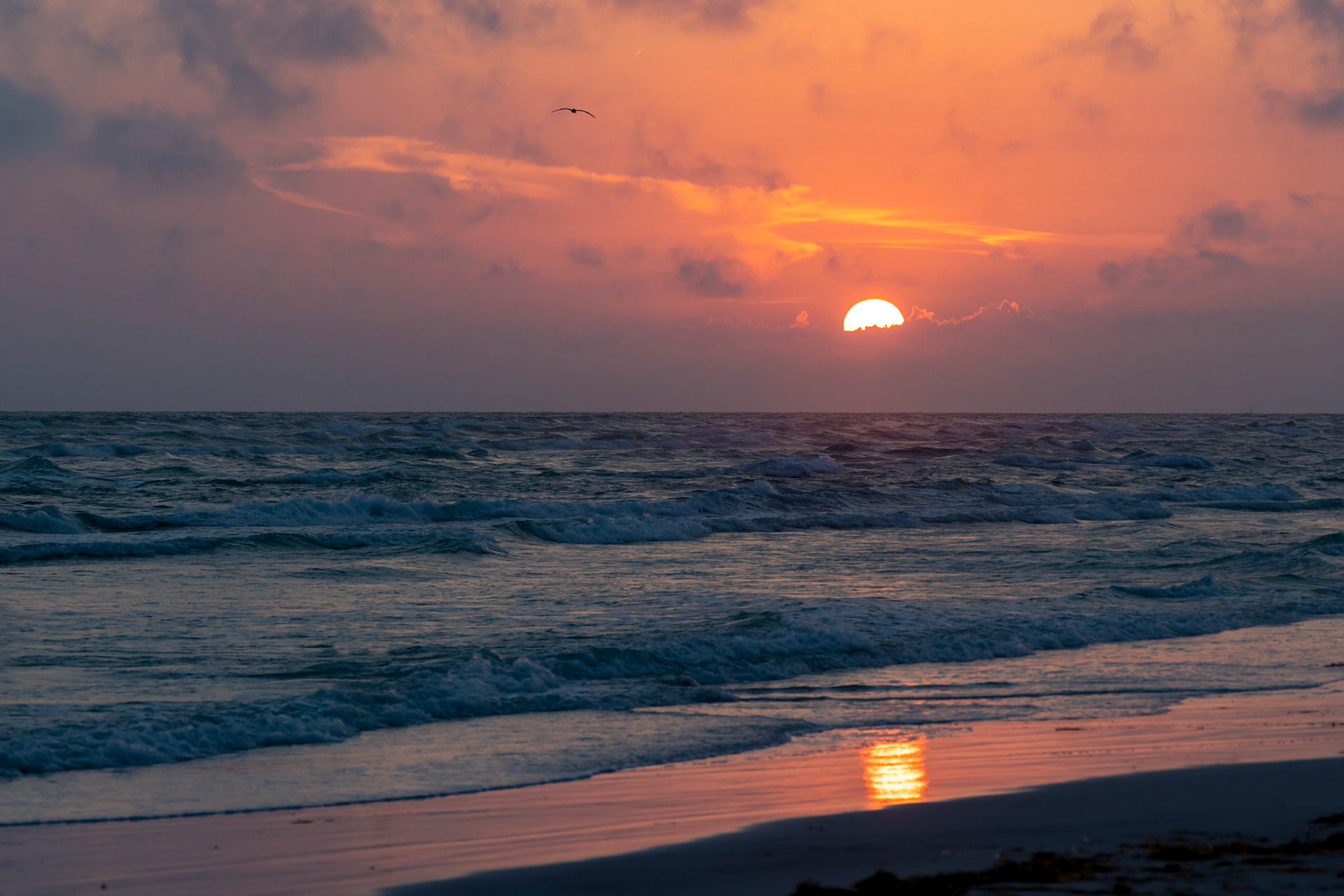 Sunset on Siesta Key