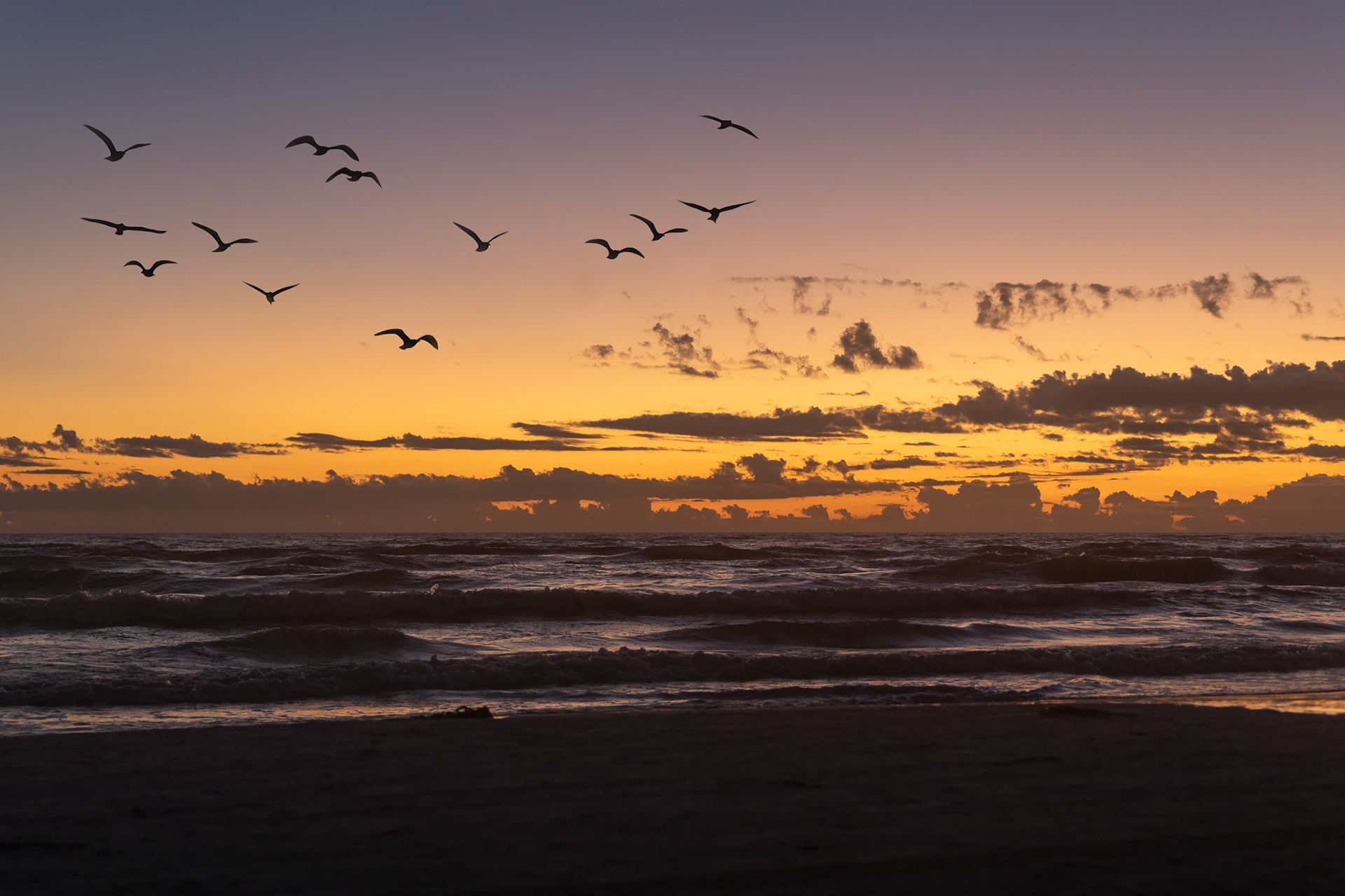 Sunset on Siesta Key