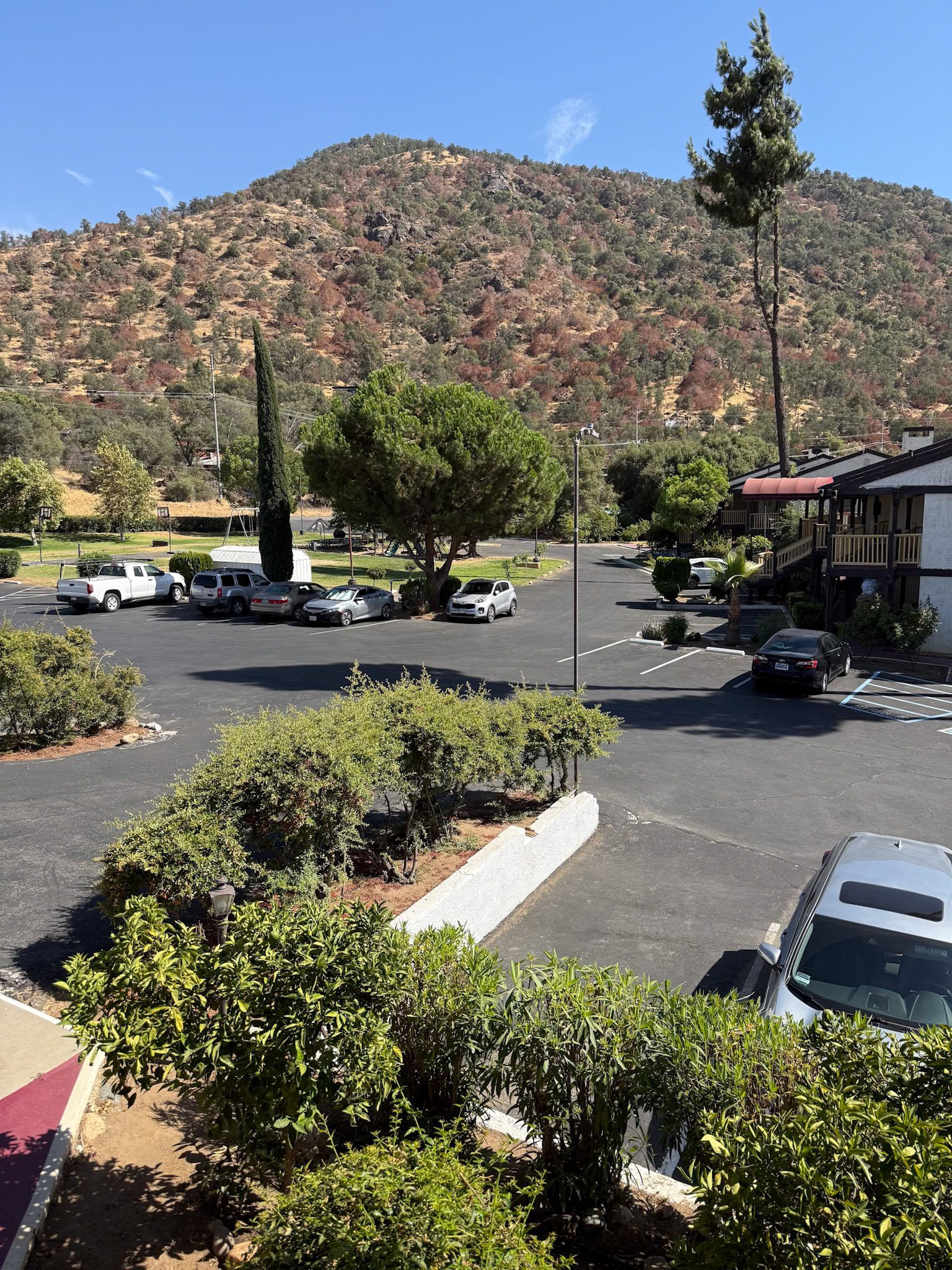 Sequoia National Park