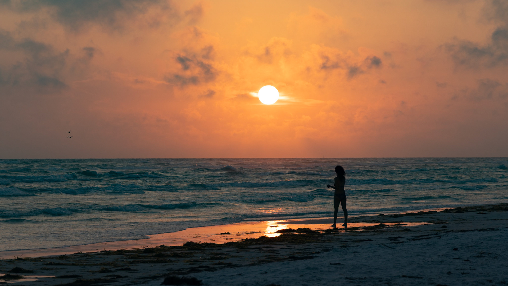 Sunset on Siesta Key