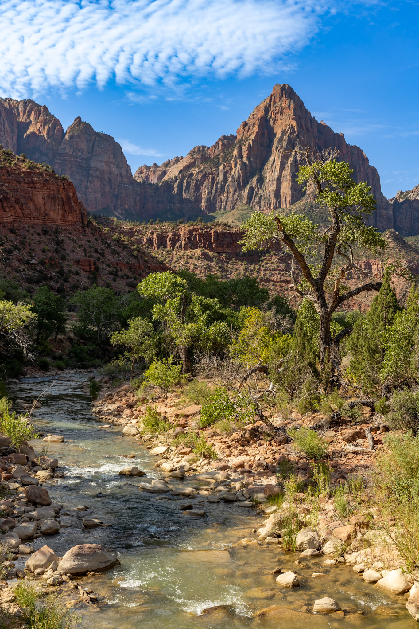 Zion National Park In Springdale, Utah