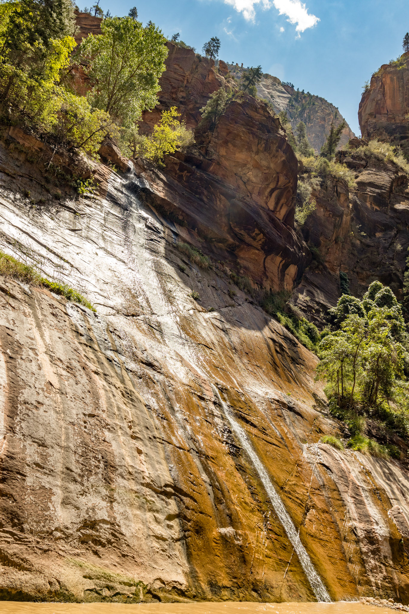 The Narrows at Zion National Park