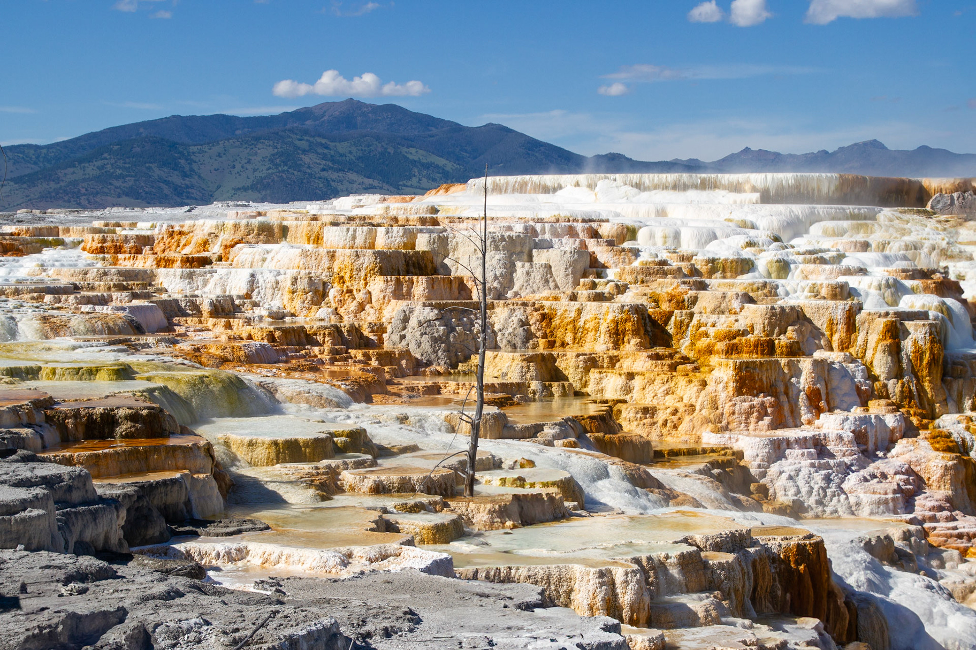 Mammoth Hot Springs at Yellowstone National Park