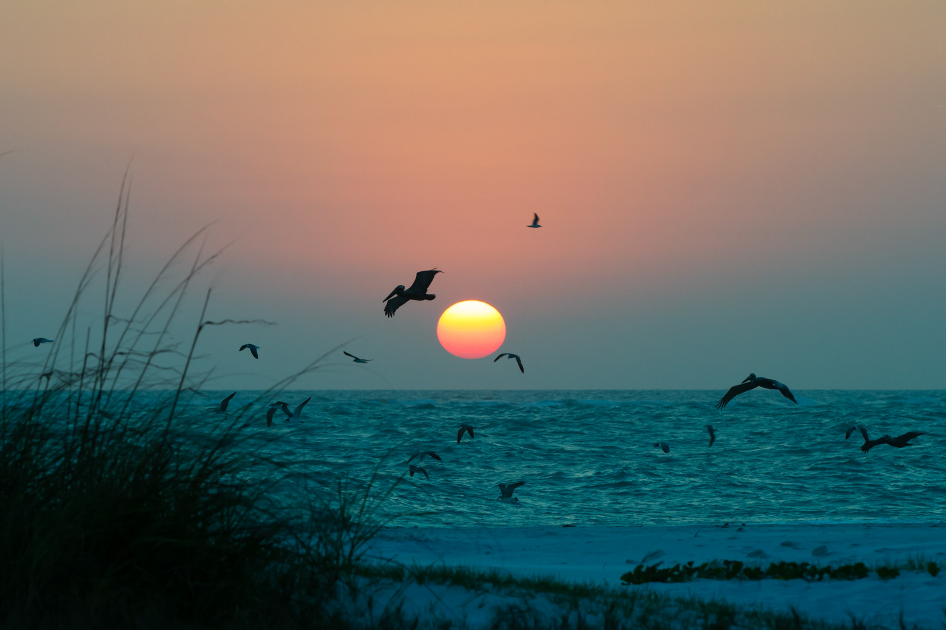 Sunset on Siesta Key