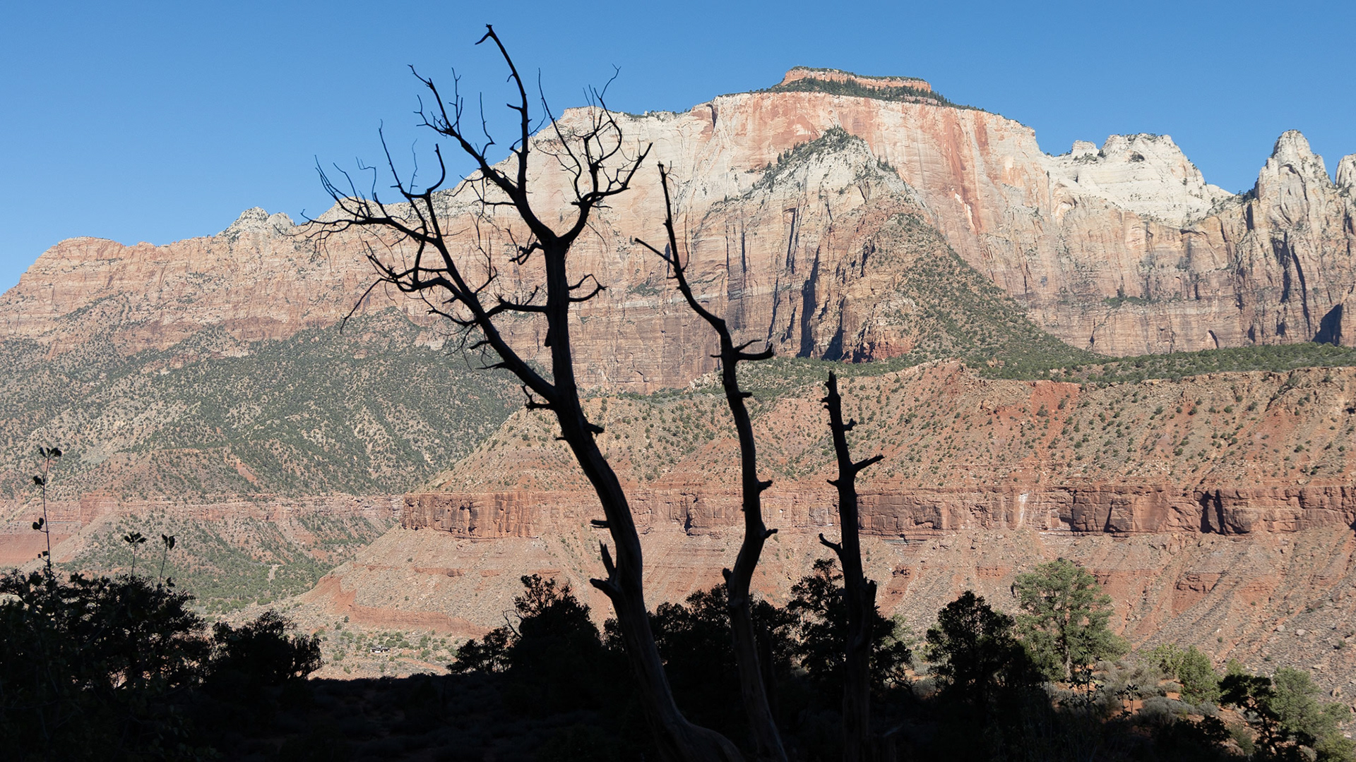 Zion National Park