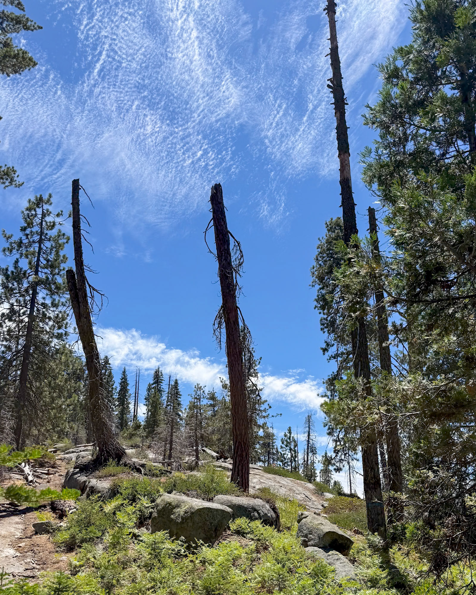 Sequoia National Park
