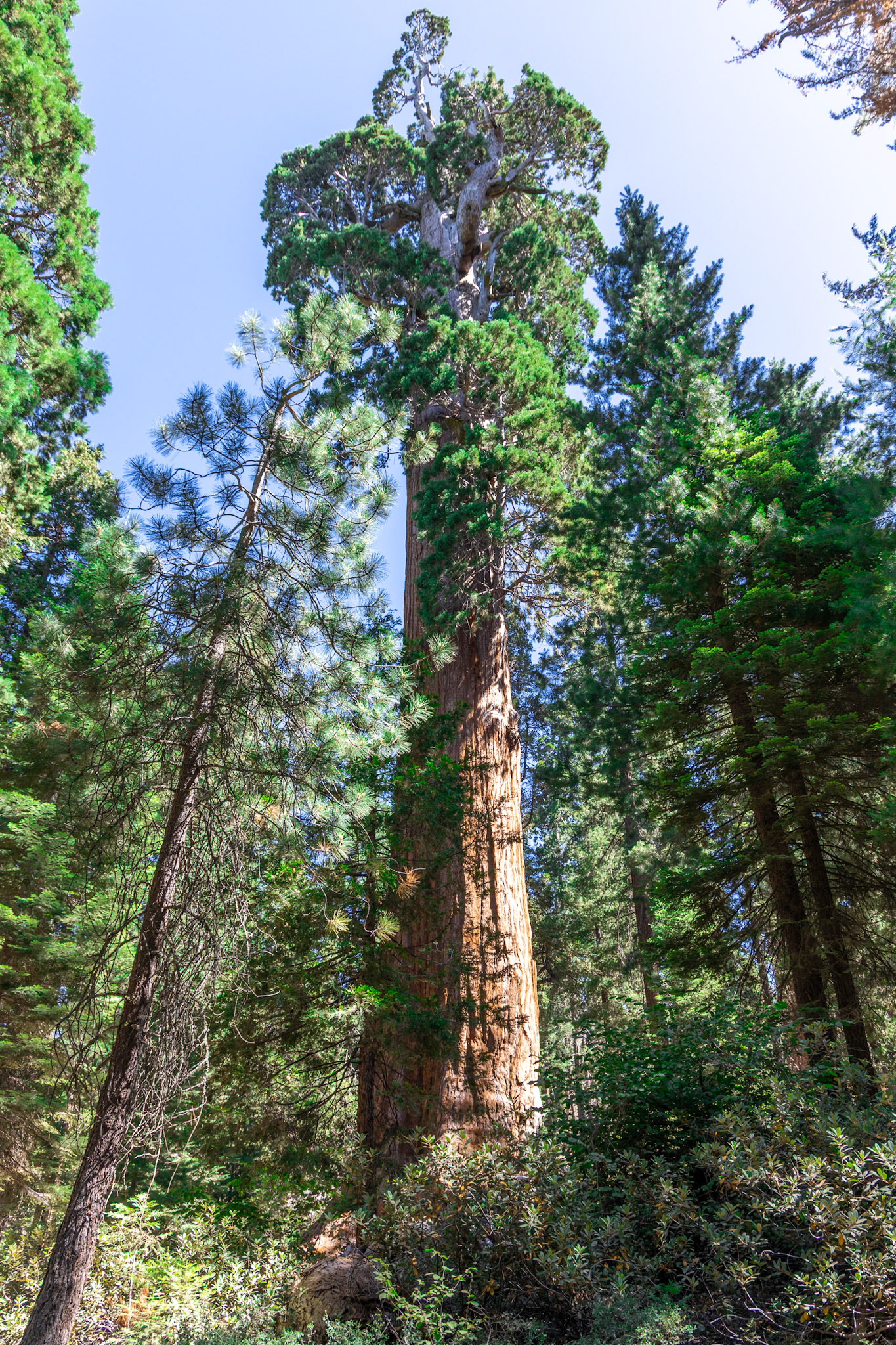 King's Canyon National Park