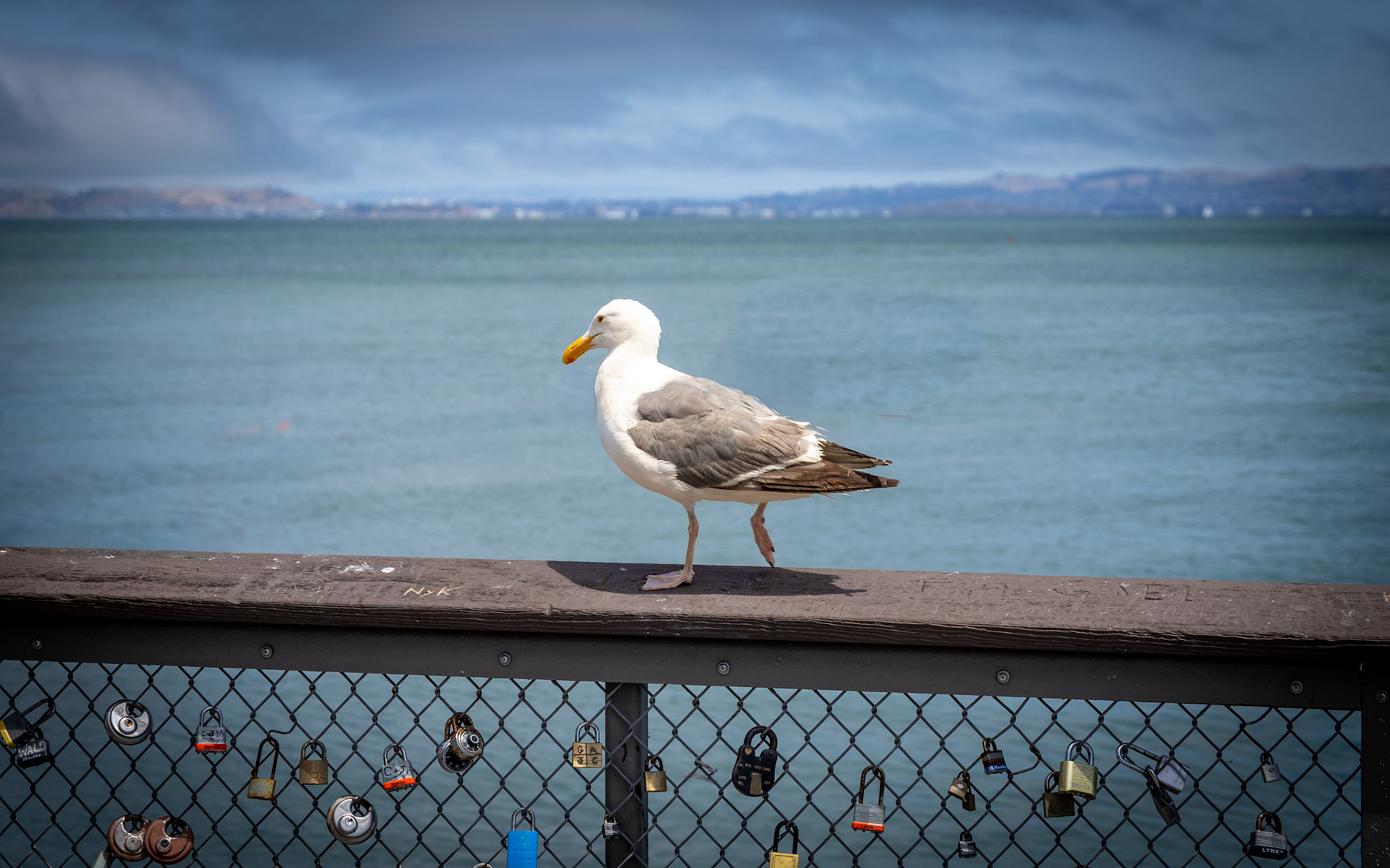 Fisherman's Wharf in San Francisco