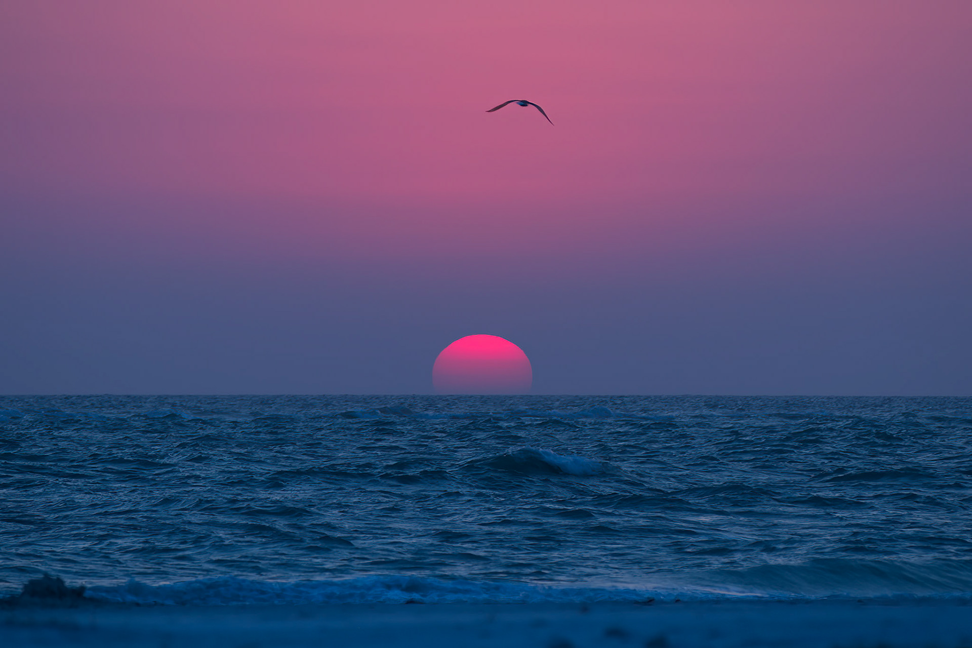 Sunset on Siesta Key