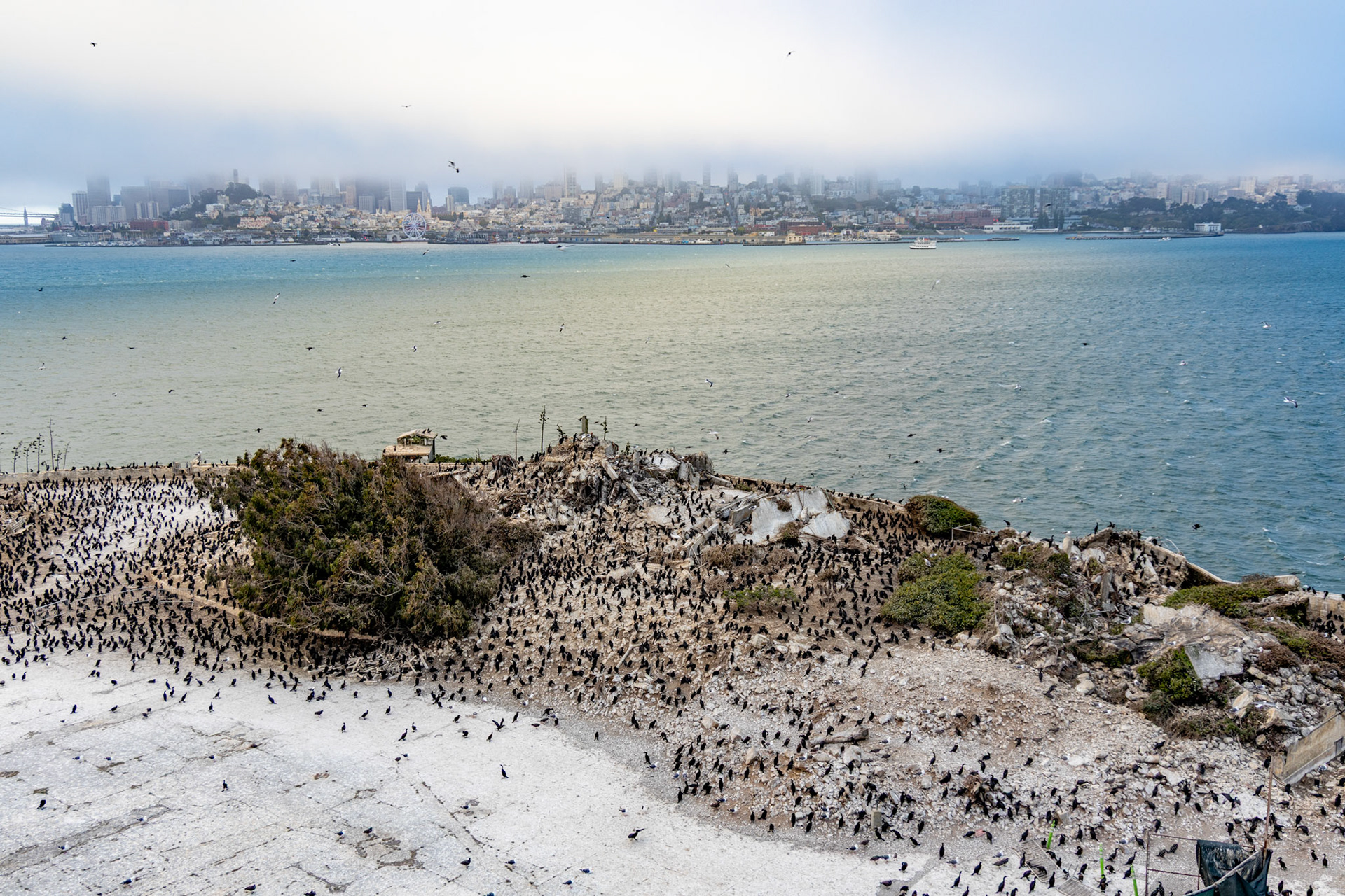 Alcatraz Island in San Francisco
