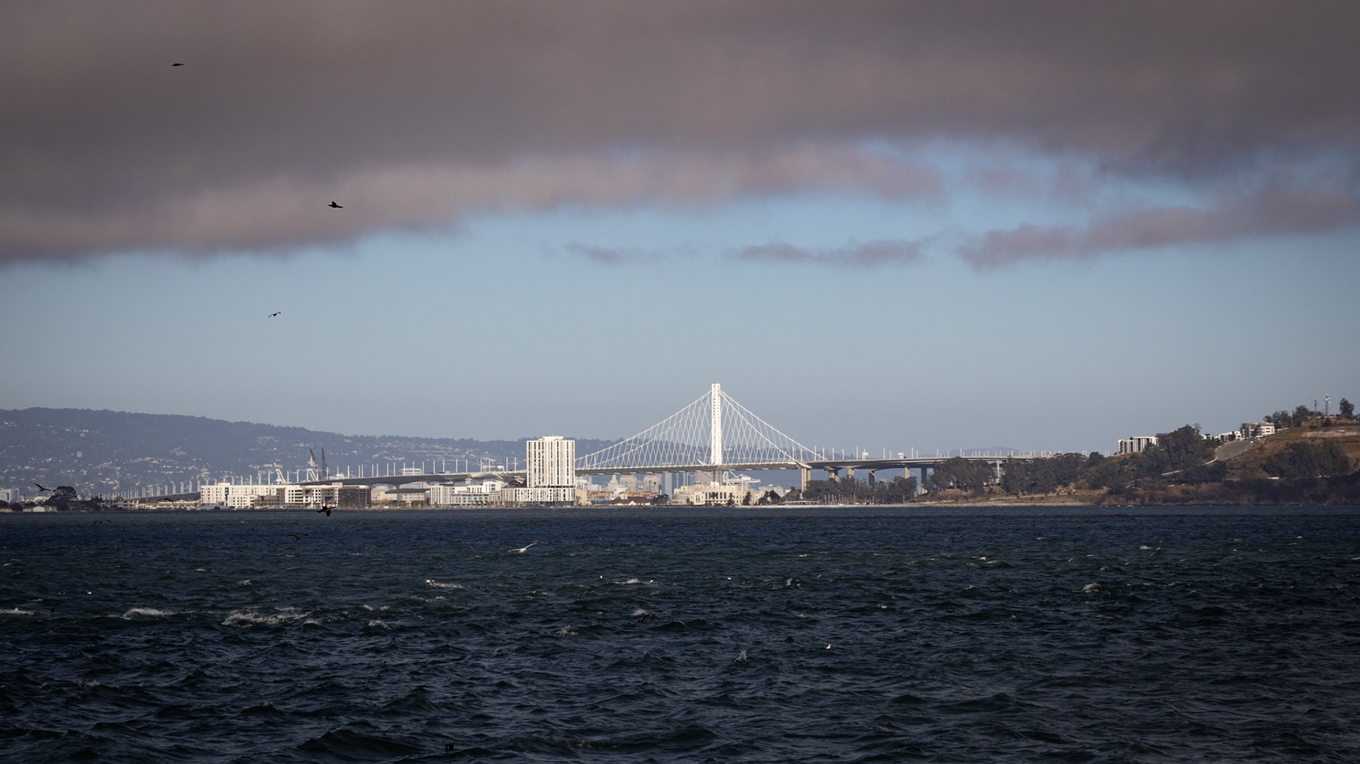 Bay Bridge in San Francisco