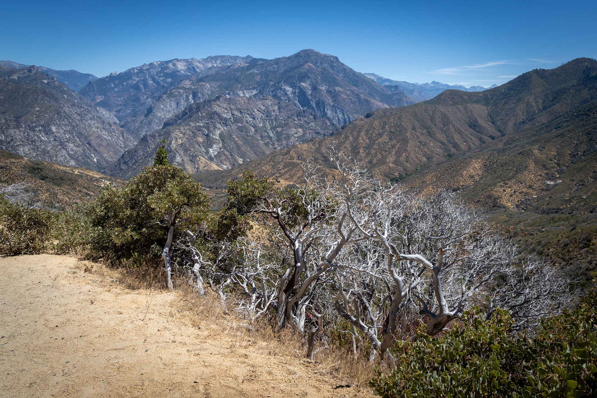King's Canyon National Park