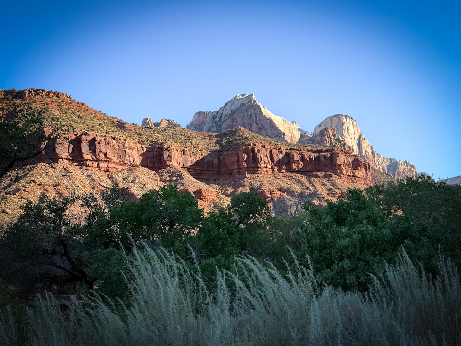 Zion National Park