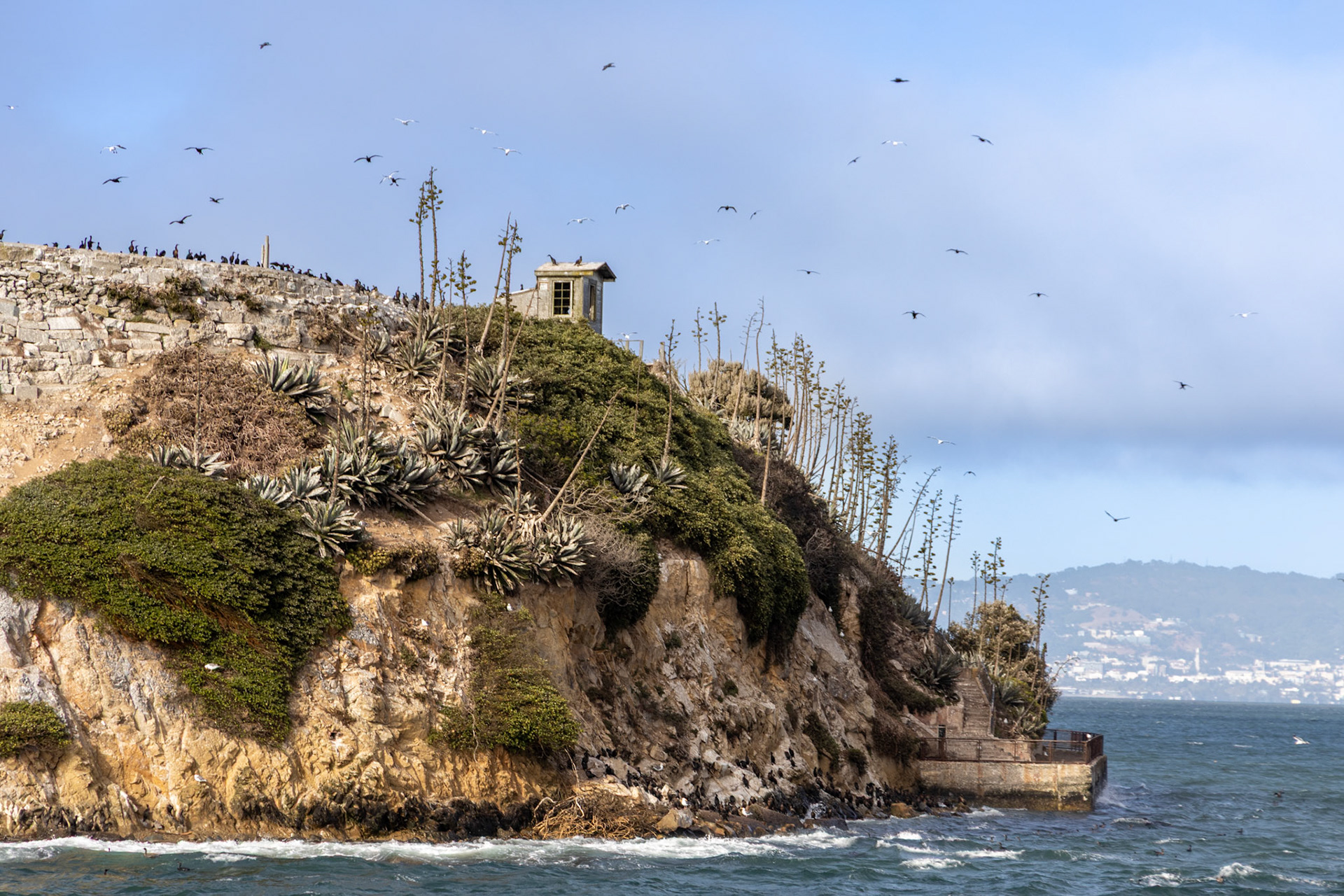 Alcatraz Island in San Francisco