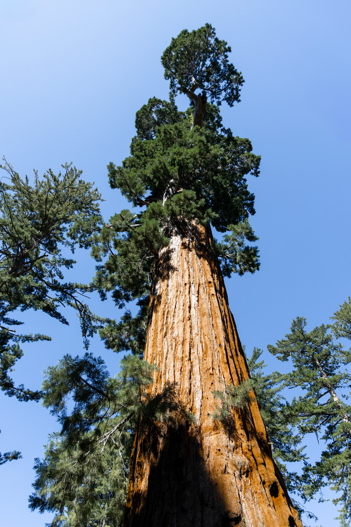 King's Canyon National Park