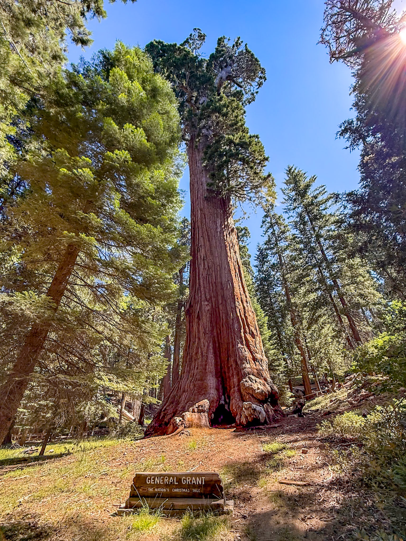 King's Canyon National Park