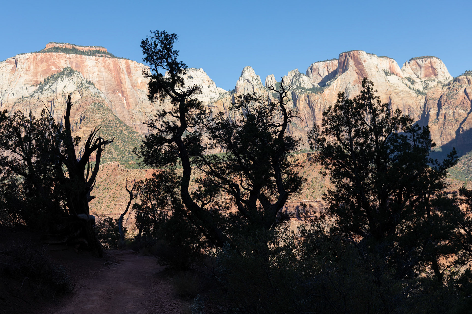 Zion National Park