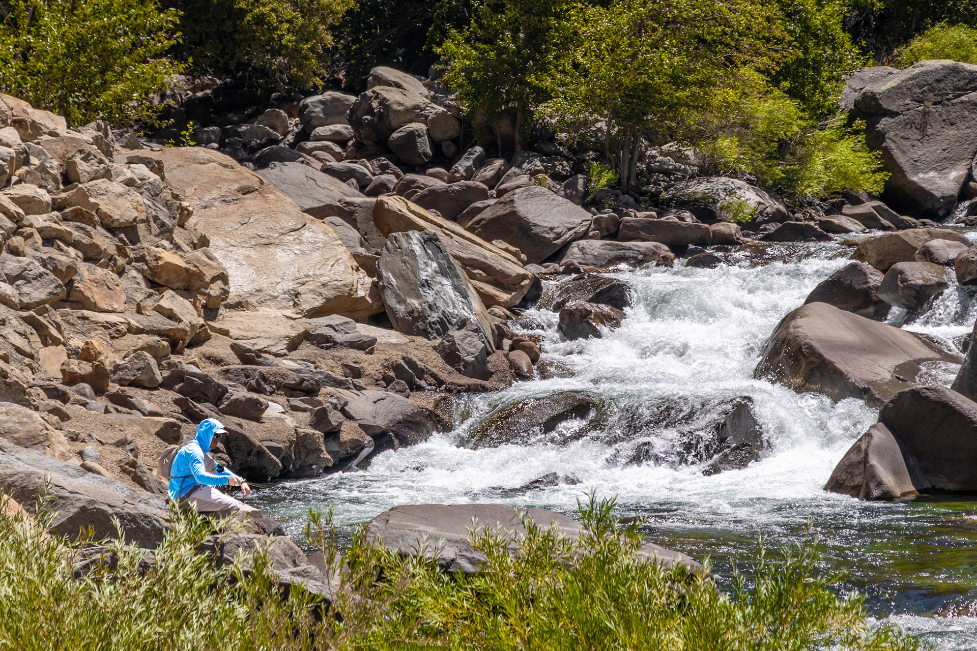 King's Canyon National Park