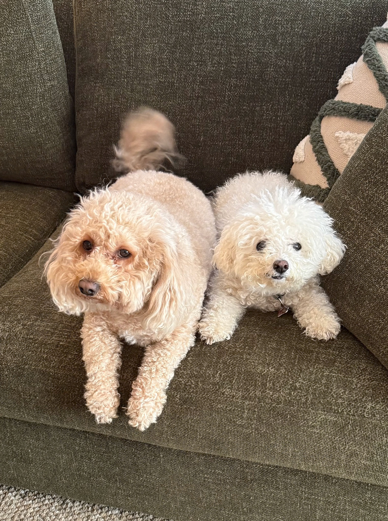 The Boys at Home