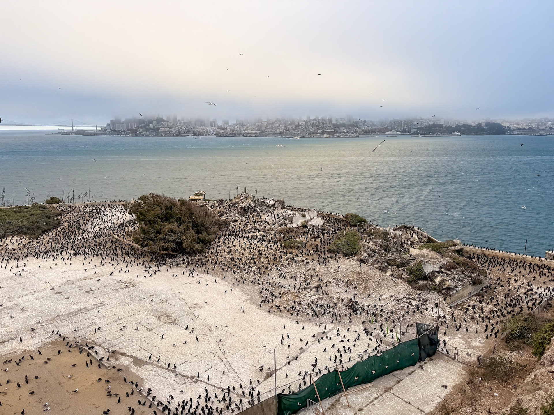 Alcatraz Island in San Francisco