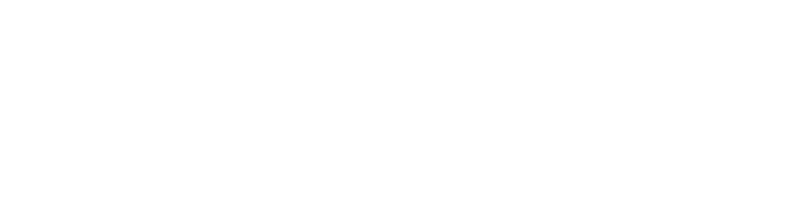 Salvo Behar