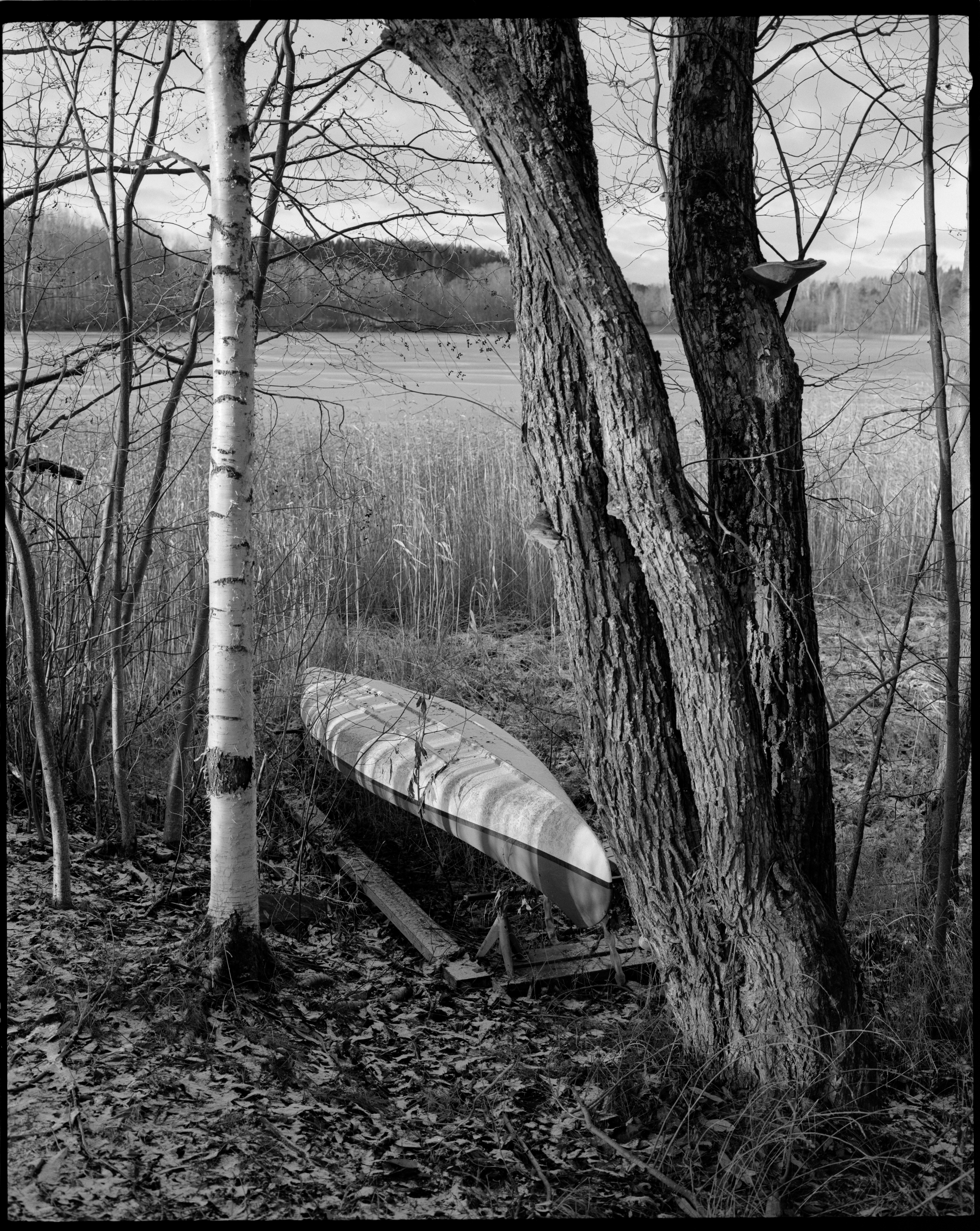 Mamiya 7 80mm f/4 TmaX400Mamiya 7 80mm f/4 TmaX400. Ilford DDx @8min