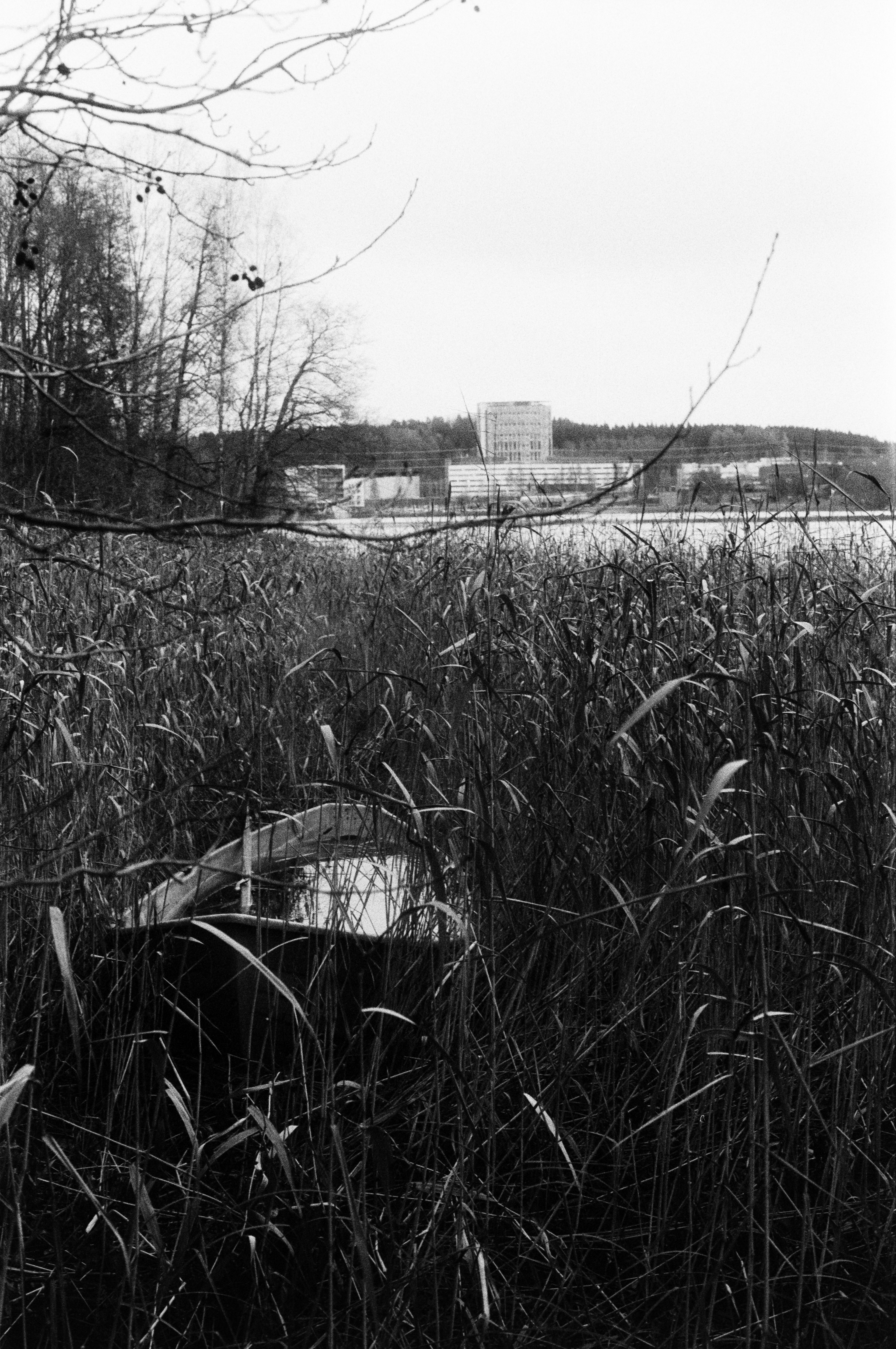 Canon F1n 50mm f/1.4 Kentmere400@1600