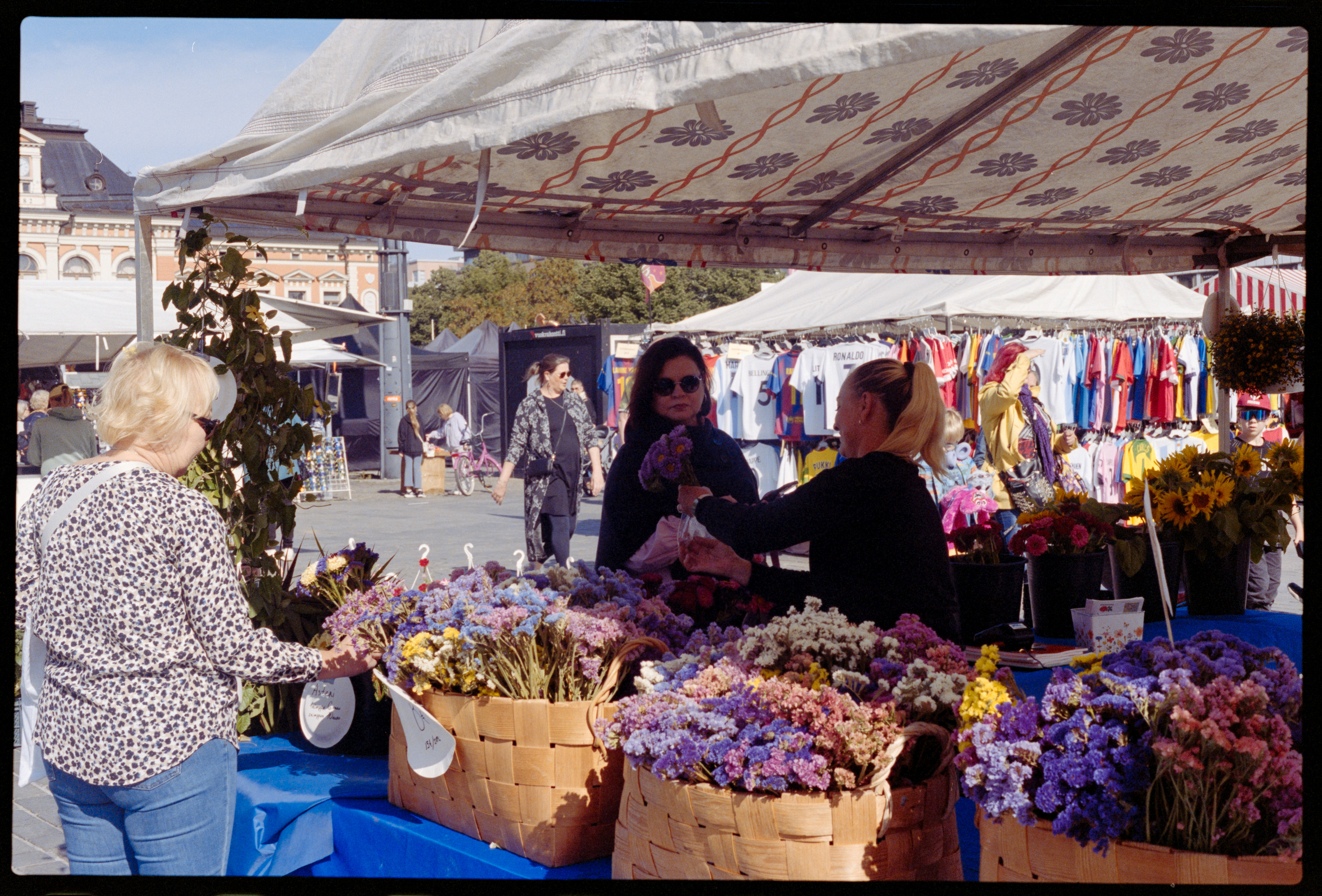 Canon F1n 50mm f/1.4 Kodak Portra400