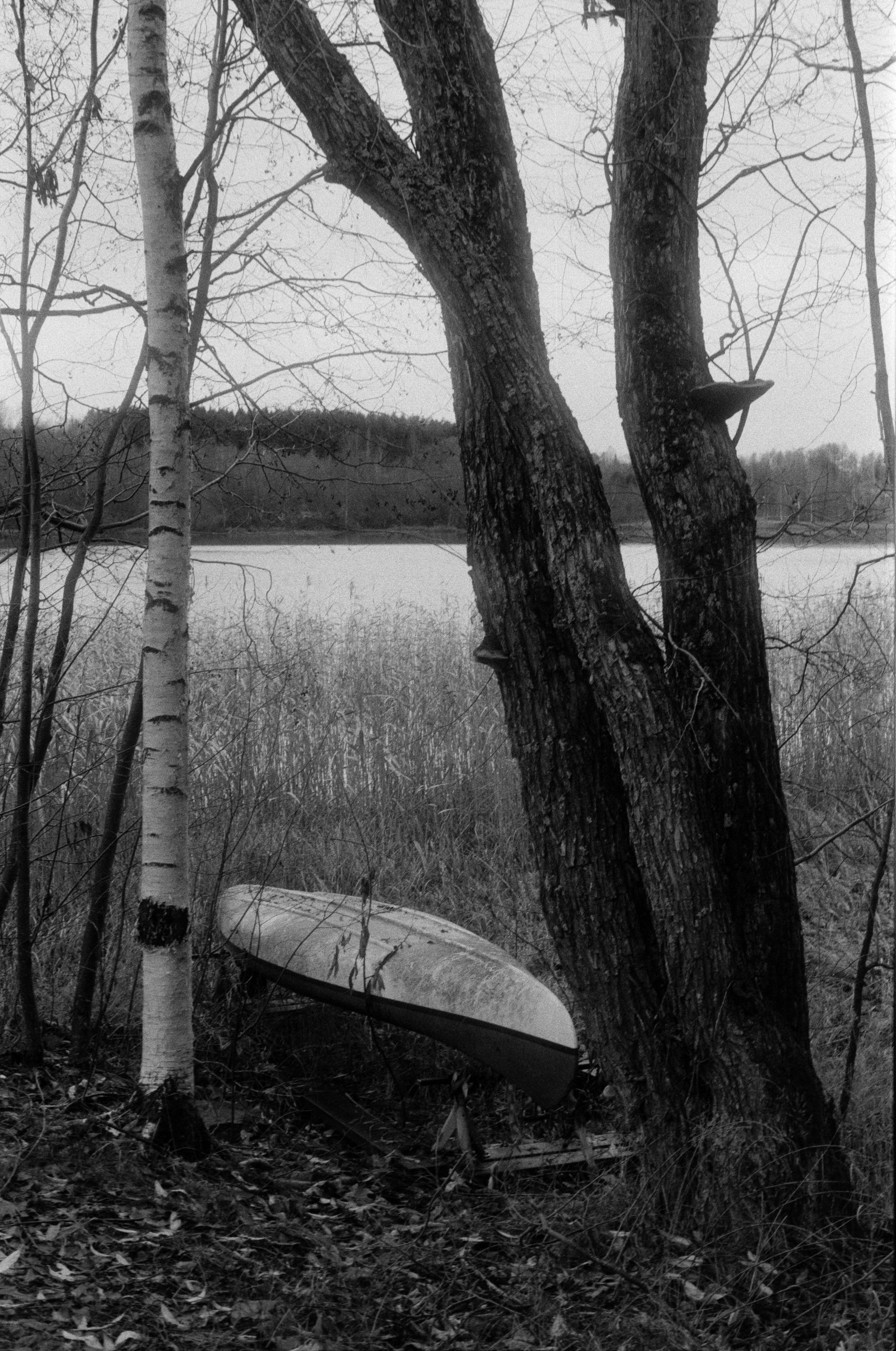 Canon F1n 50mm f/1.4 Kentmere400@1600