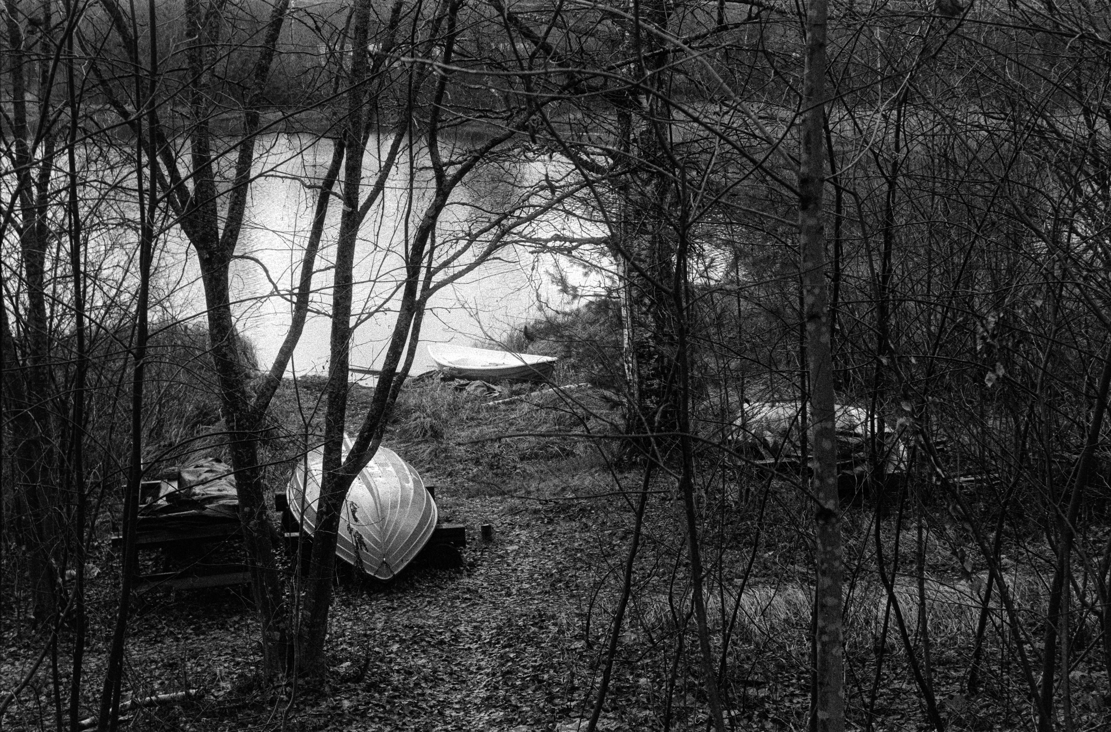 Canon F1n 50mm f/1.4 Kentmere400@1600