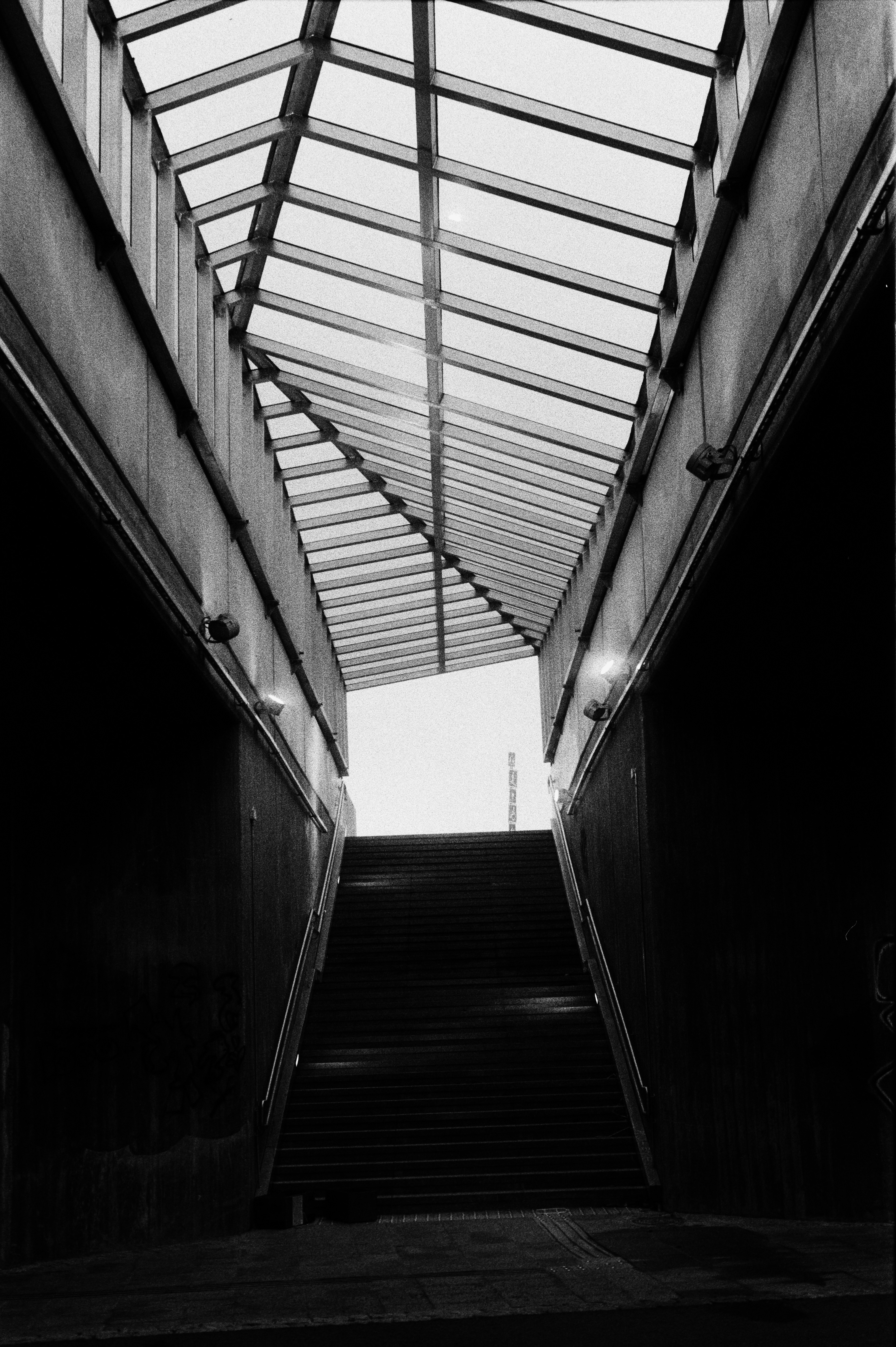 Canon F1n 50mm f/1.4 Kentmere400@1600