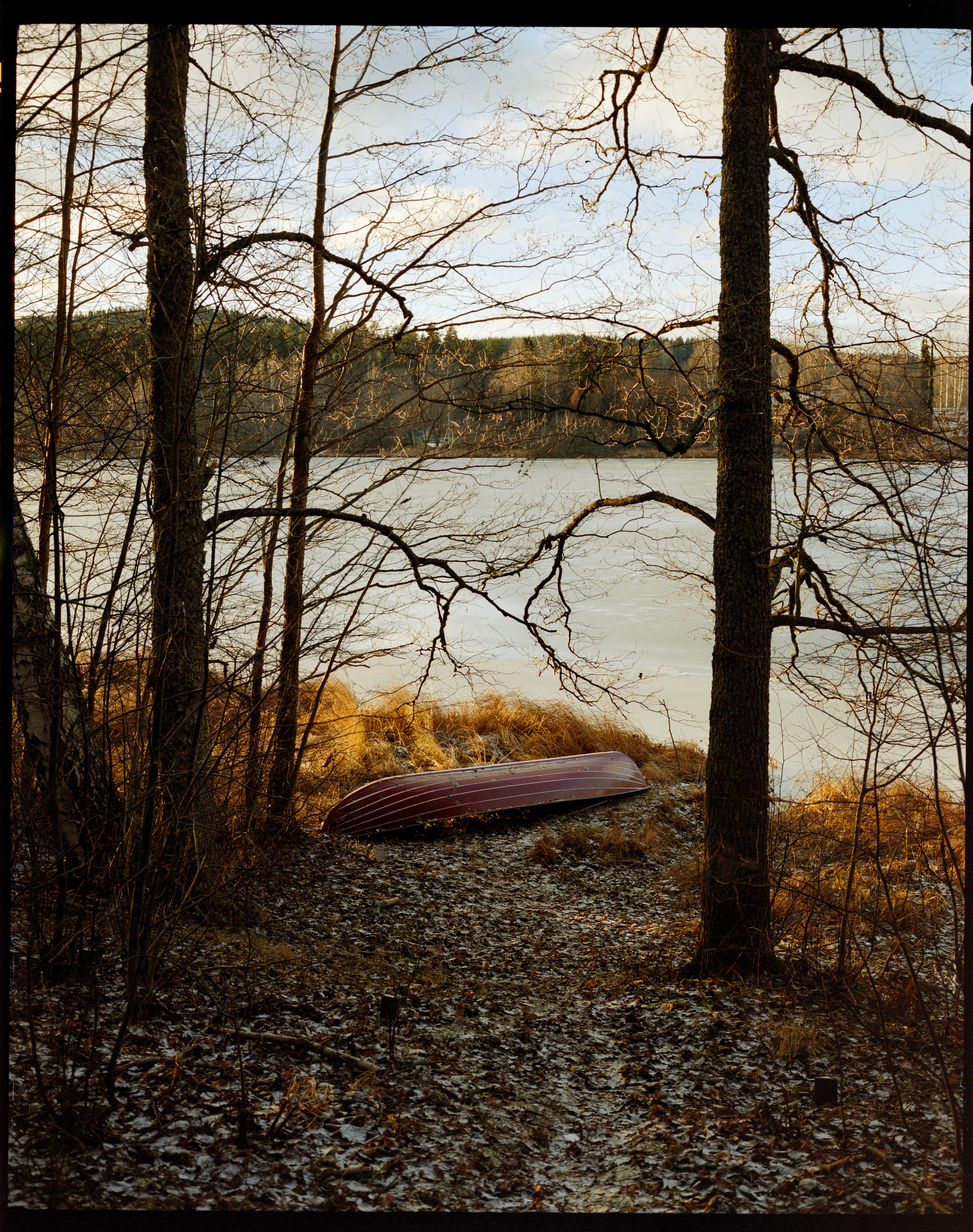 Mamiya 7 80mm f/4 Kodak Portra800