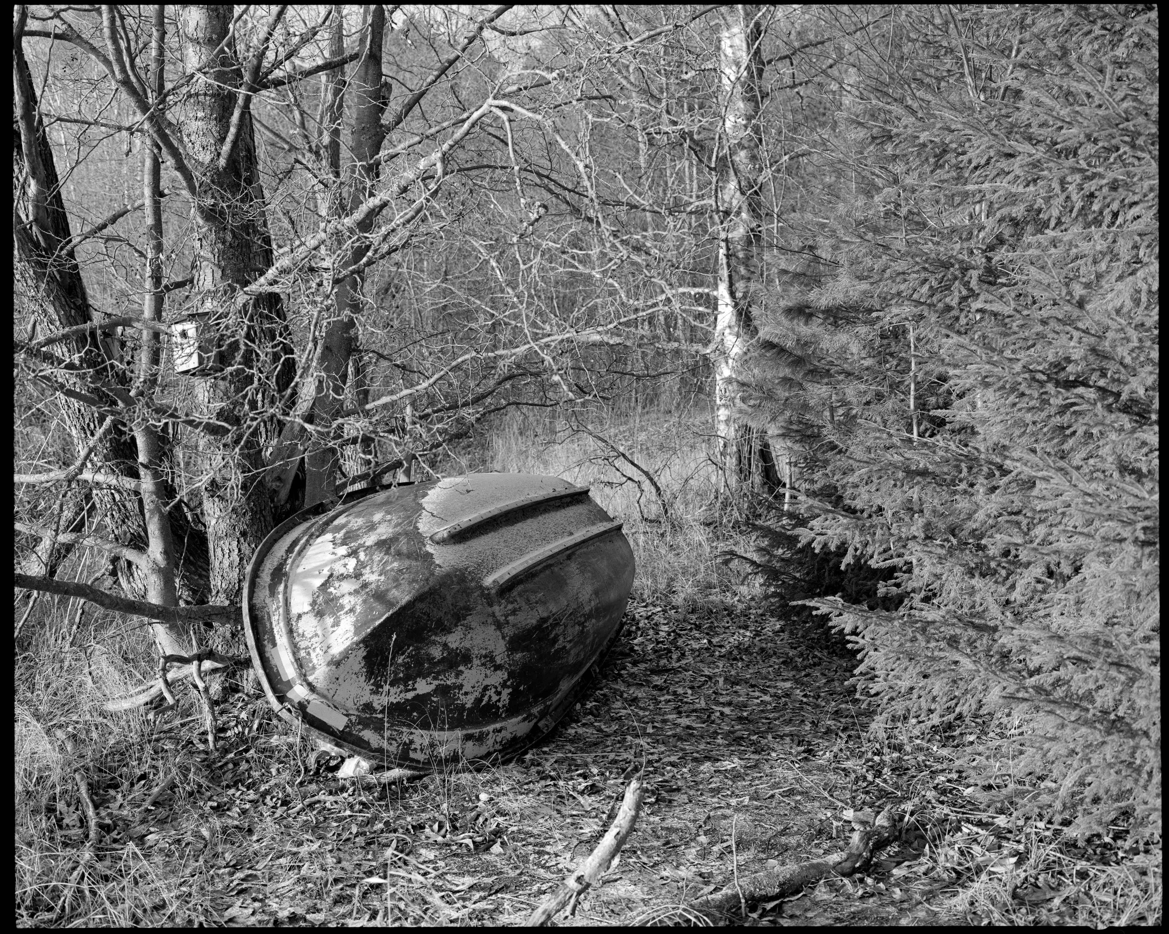 Mamiya 7 80mm f/4 TmaX400. Ilford DDx @8min