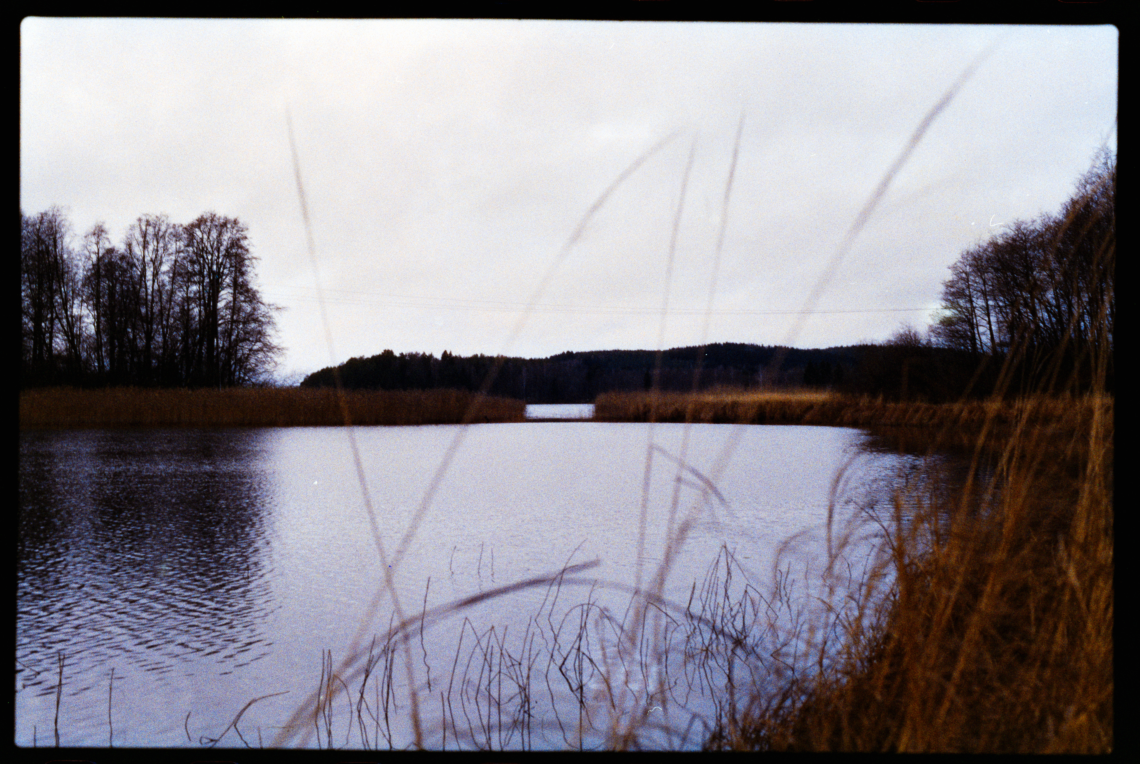 Canon F1n 50mm f/1.4 Phoenix II