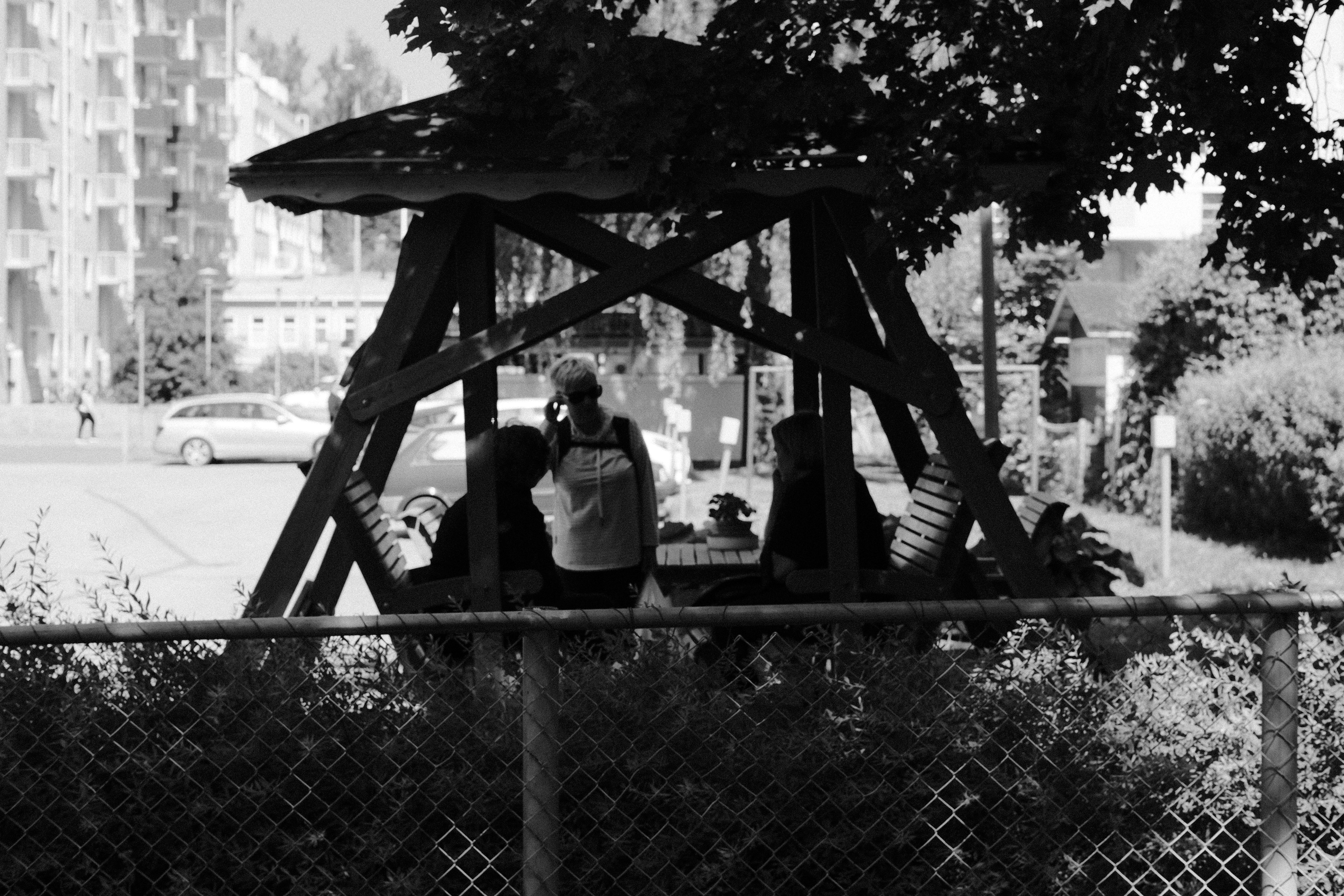 Fujifilm X-T5 Voigtländer 50mm f/1.2. 1/500 @ f/5.6, ISO 500