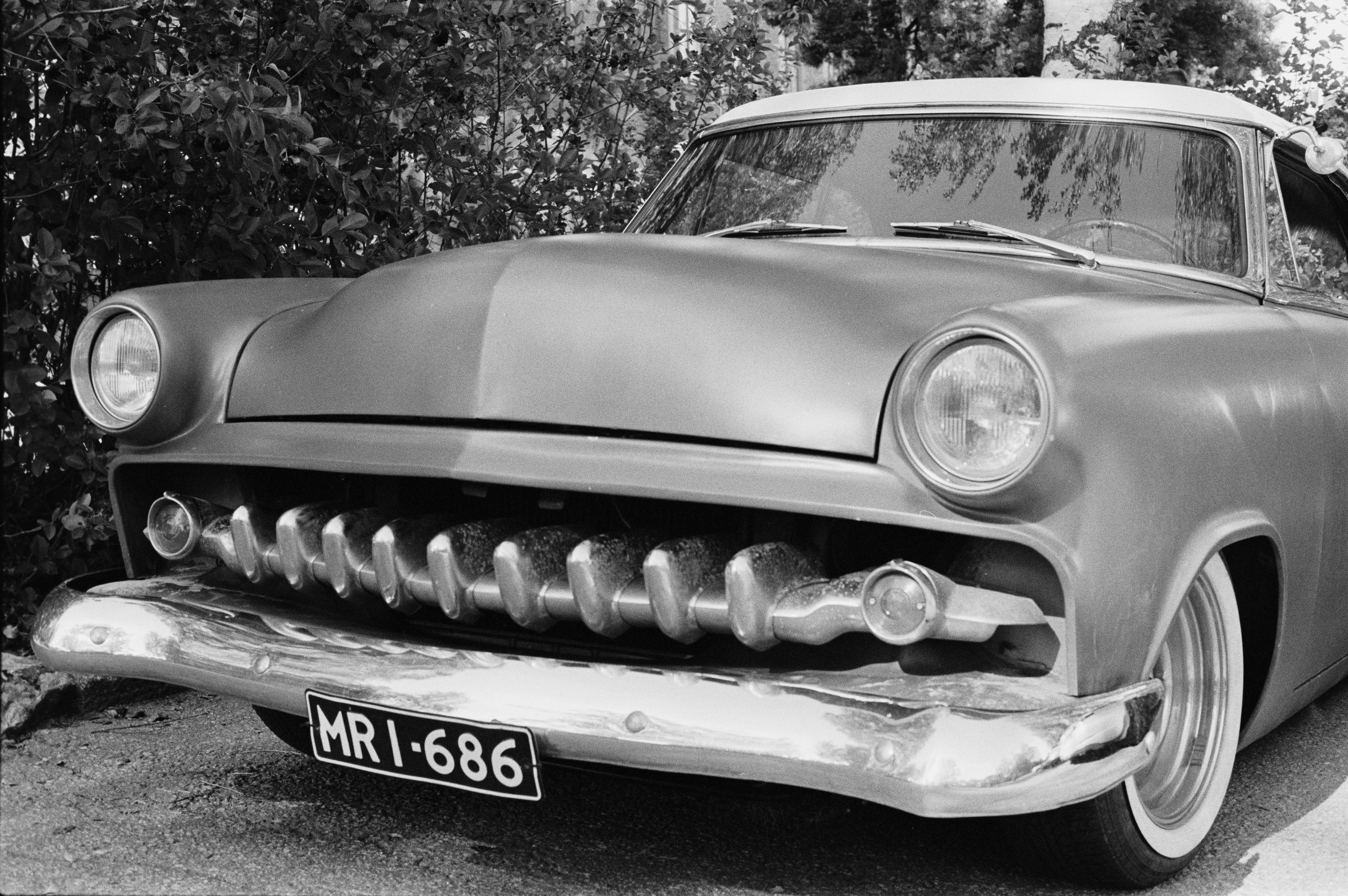 Canon F1n 50mm f/1.4 Kodak TriX400. Ilford DDx @8min