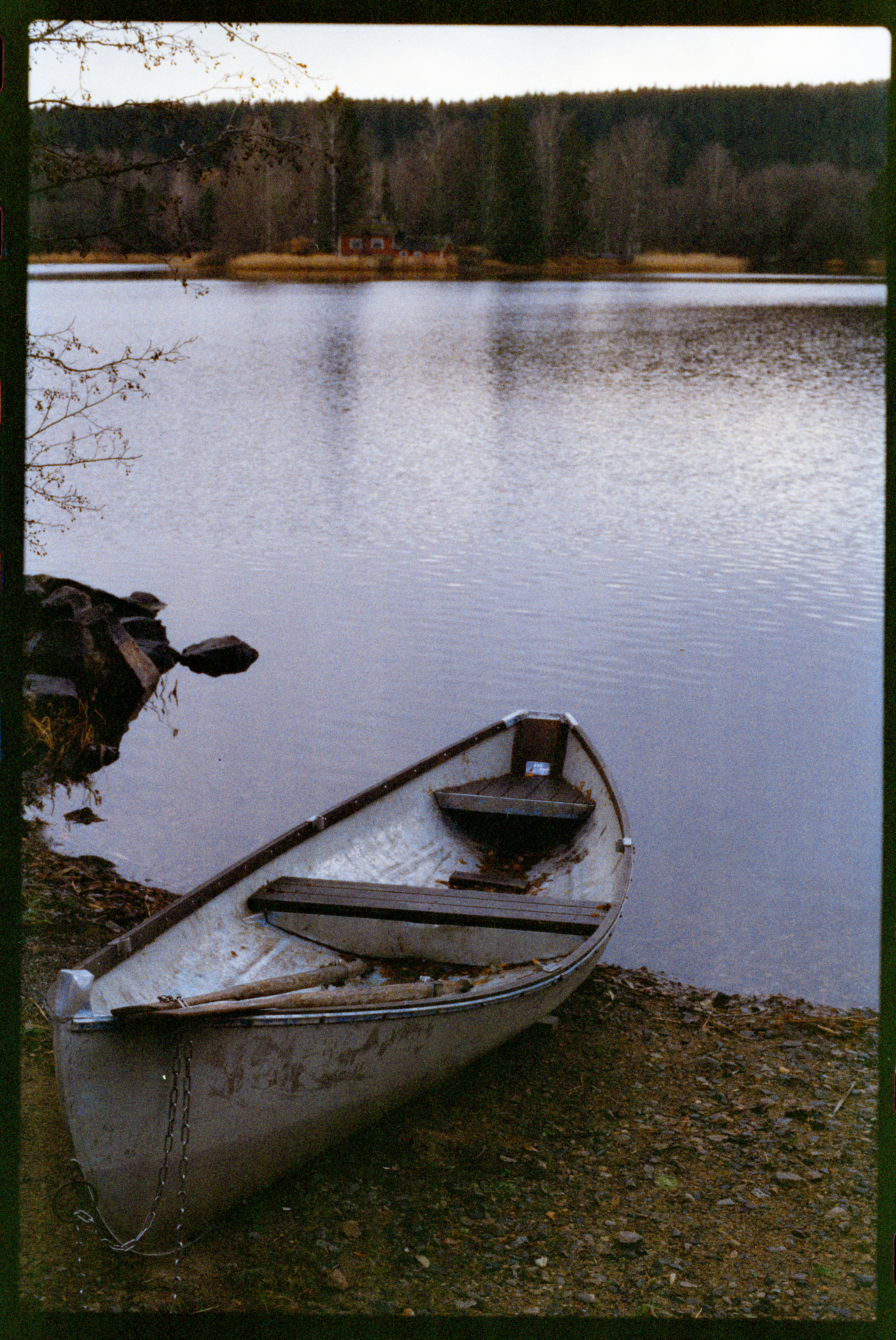 Canon F1n 50mm f/1.4 Phoenix II