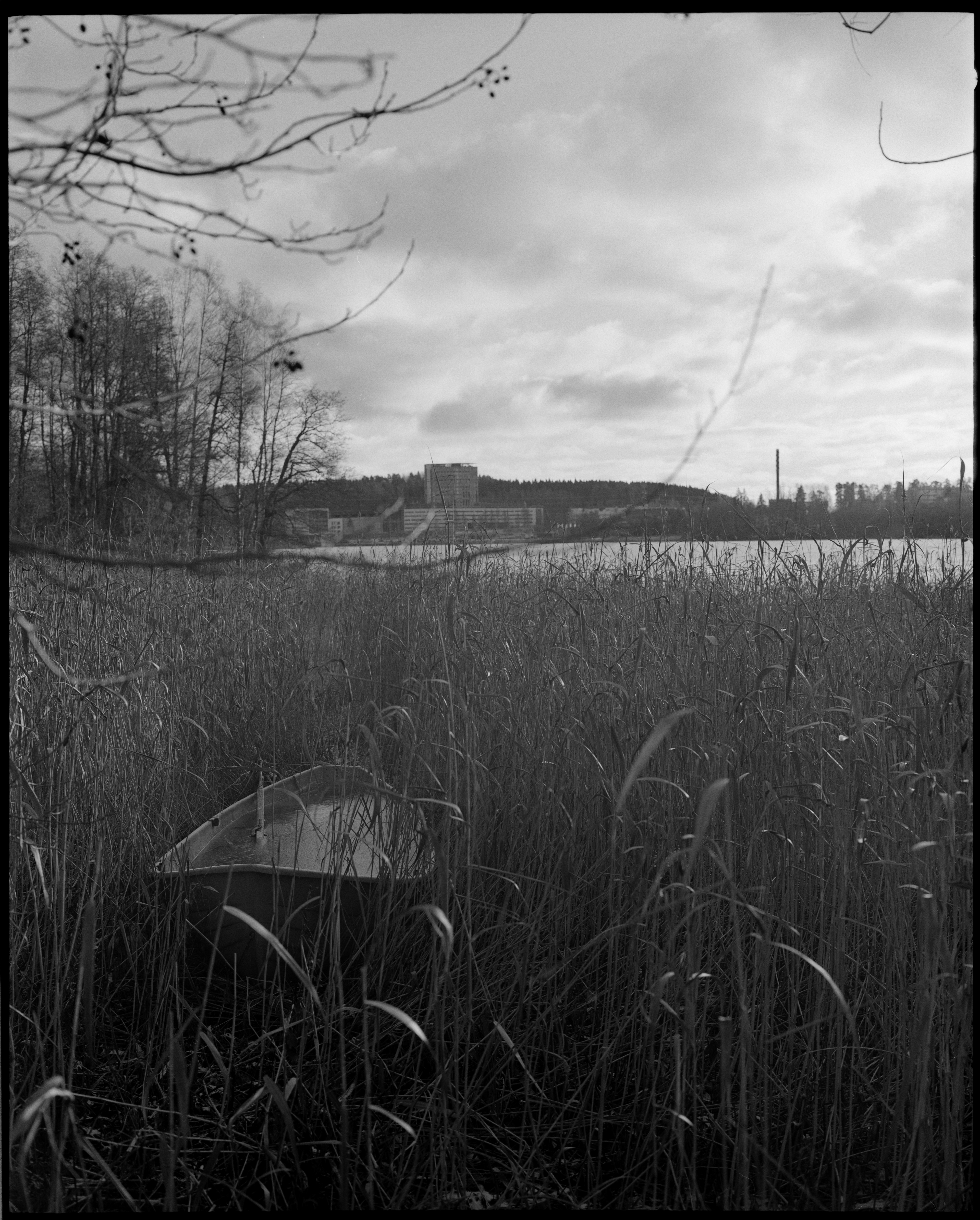 Mamiya 7 80mm f/4 TmaX400. Ilford DDx @8min