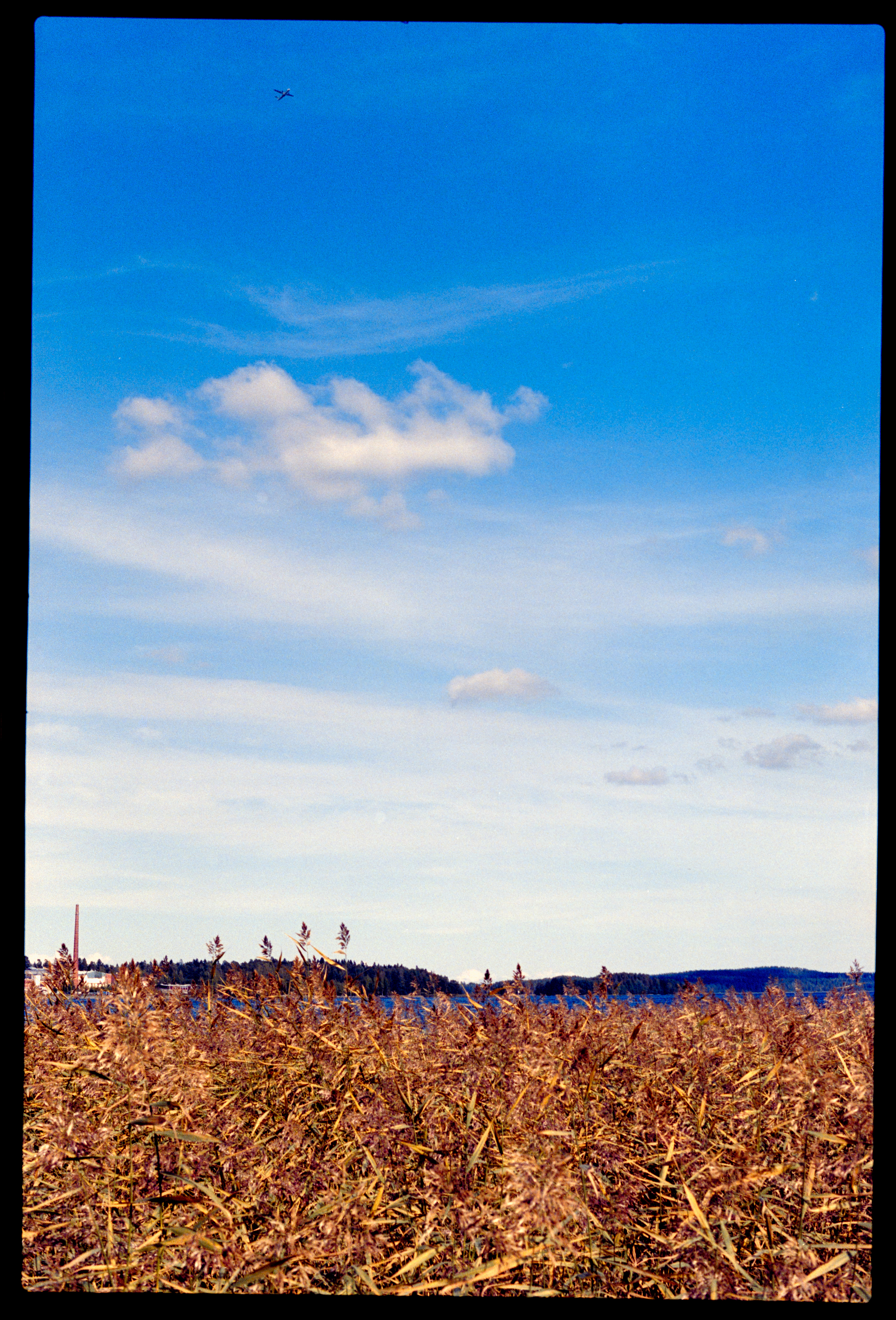 Canon F1n 50mm f/1.4 Kodak Portra400