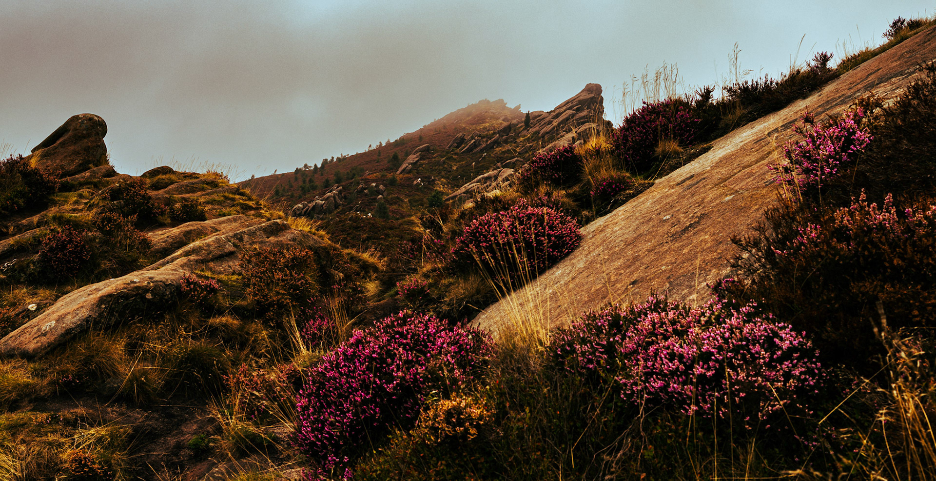 Heather and stone