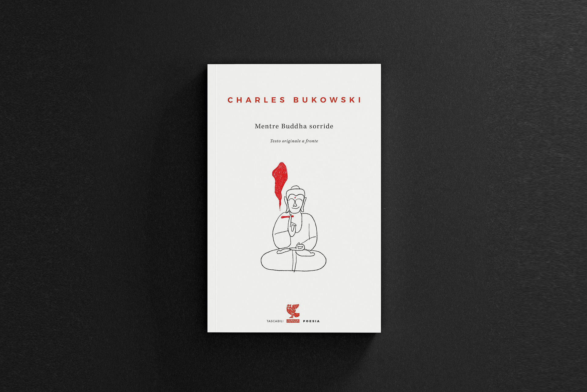 alice iuri, grafica editoriale e illustrazione editoriale udine, illustrazione e progettazione grafica