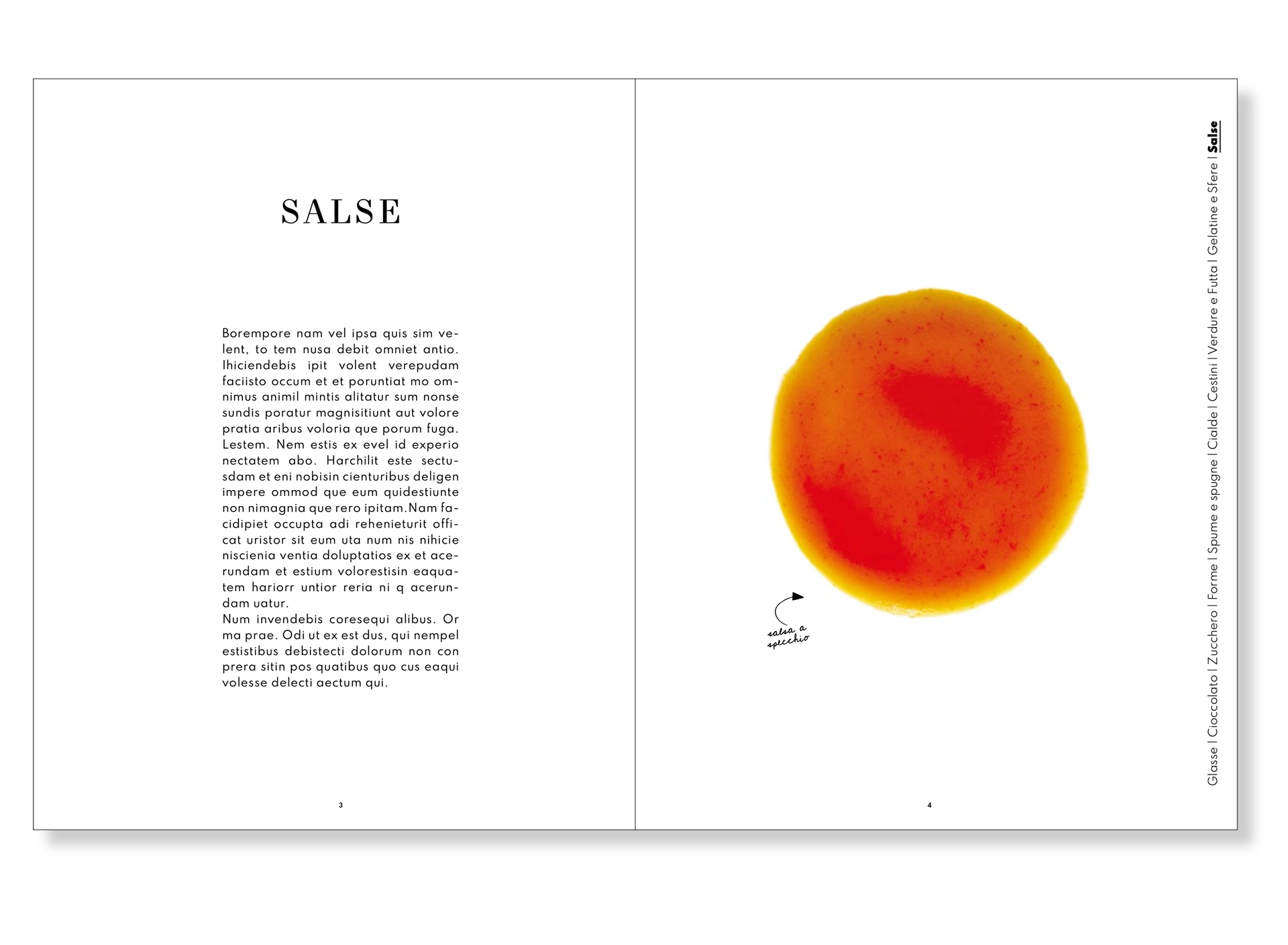 progetto grafico editoriale, progettazione grafica, editorial design udine