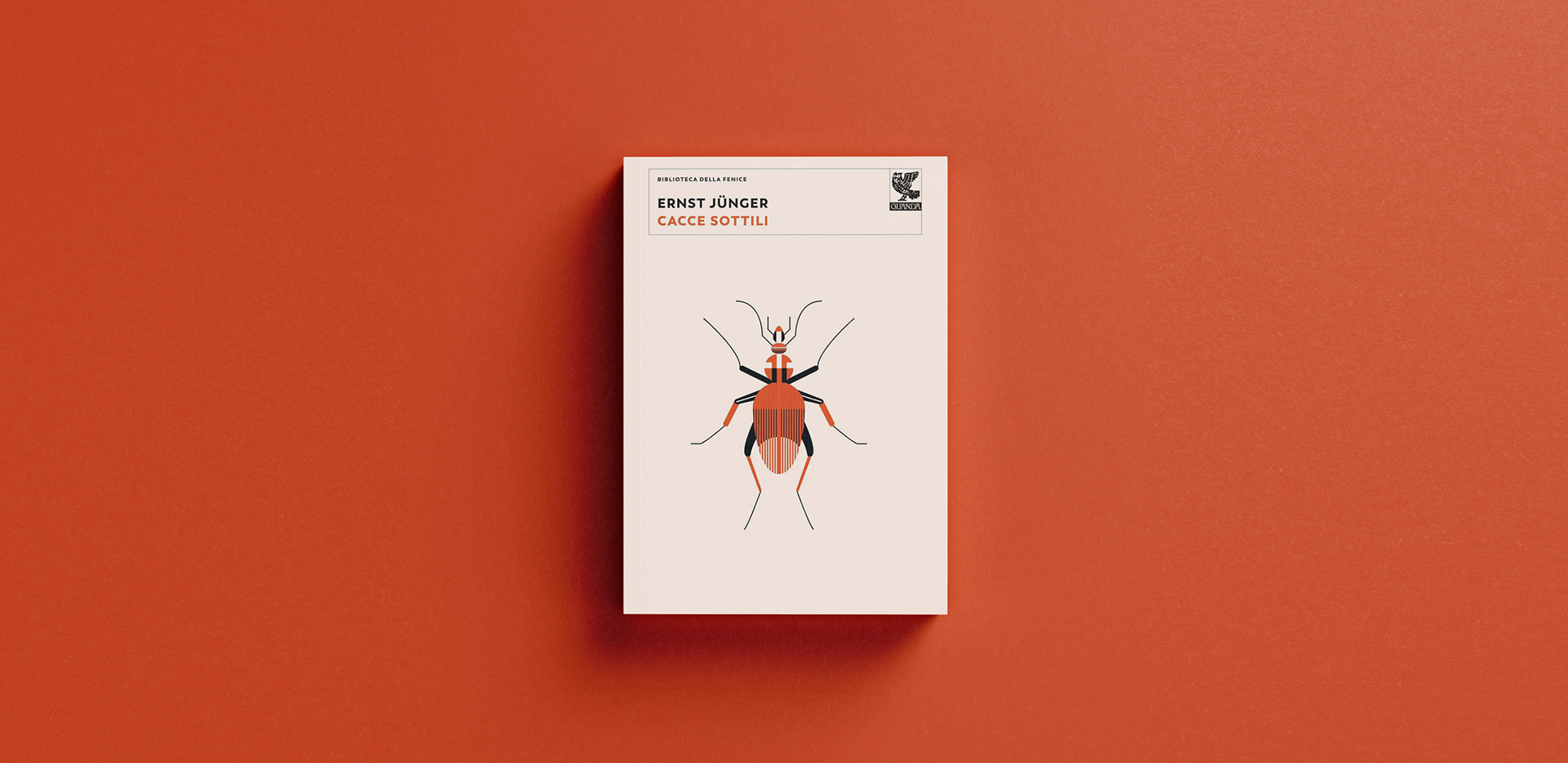 Illustrazione e progetto grfico editoriale di copertina di alice iuri