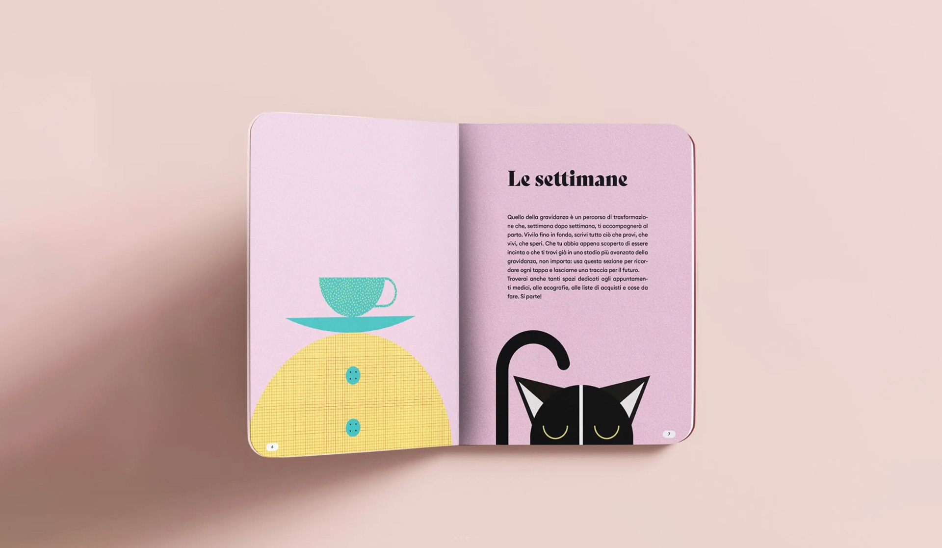 illustrazione copertina e grafica di alice iuri