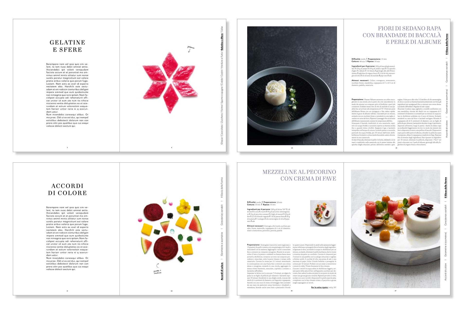 progetto grafico editoriale, progettazione grafica, editorial design udine