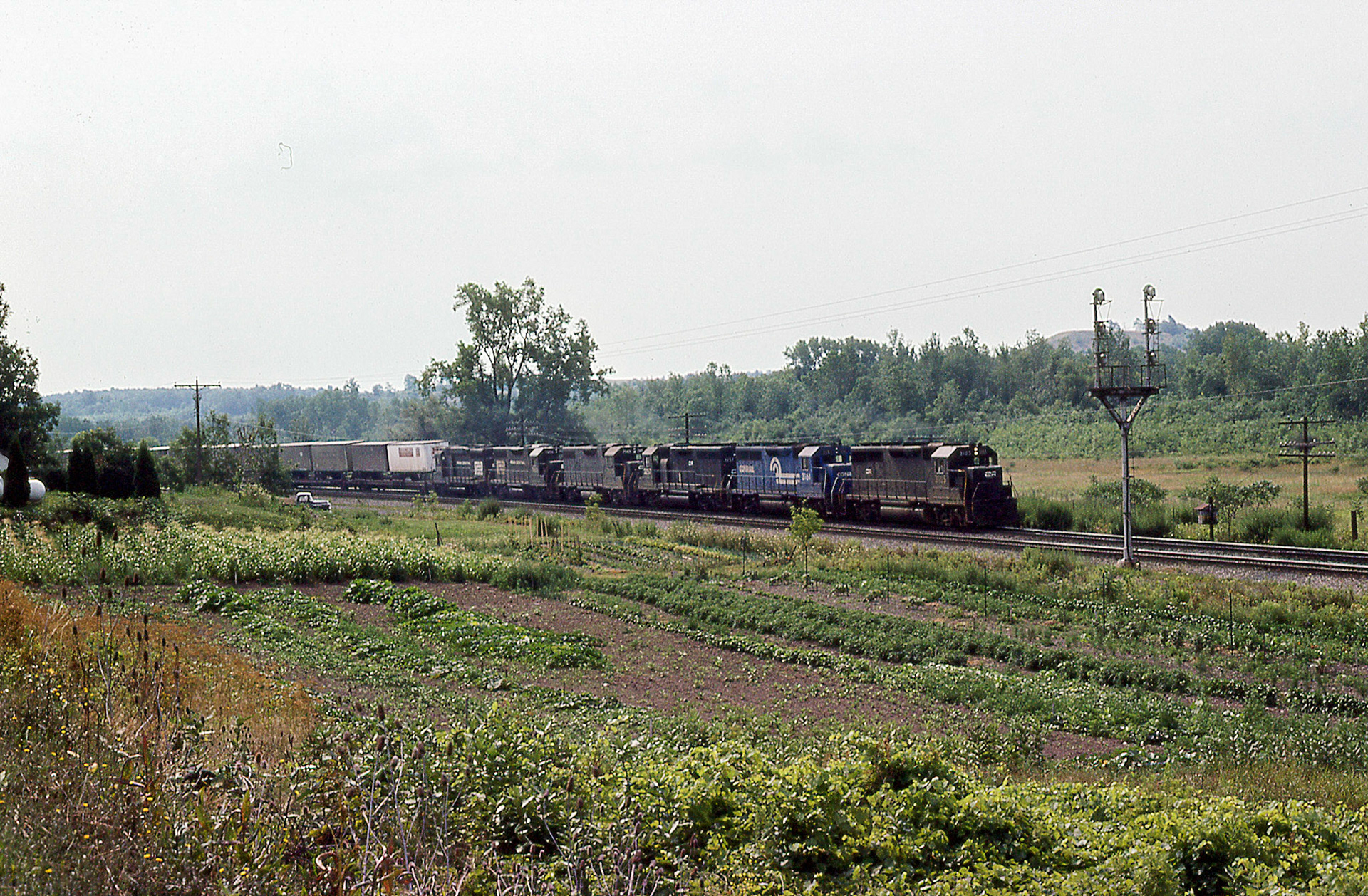 A westbound TV train at CP14 on the east side of Newark.