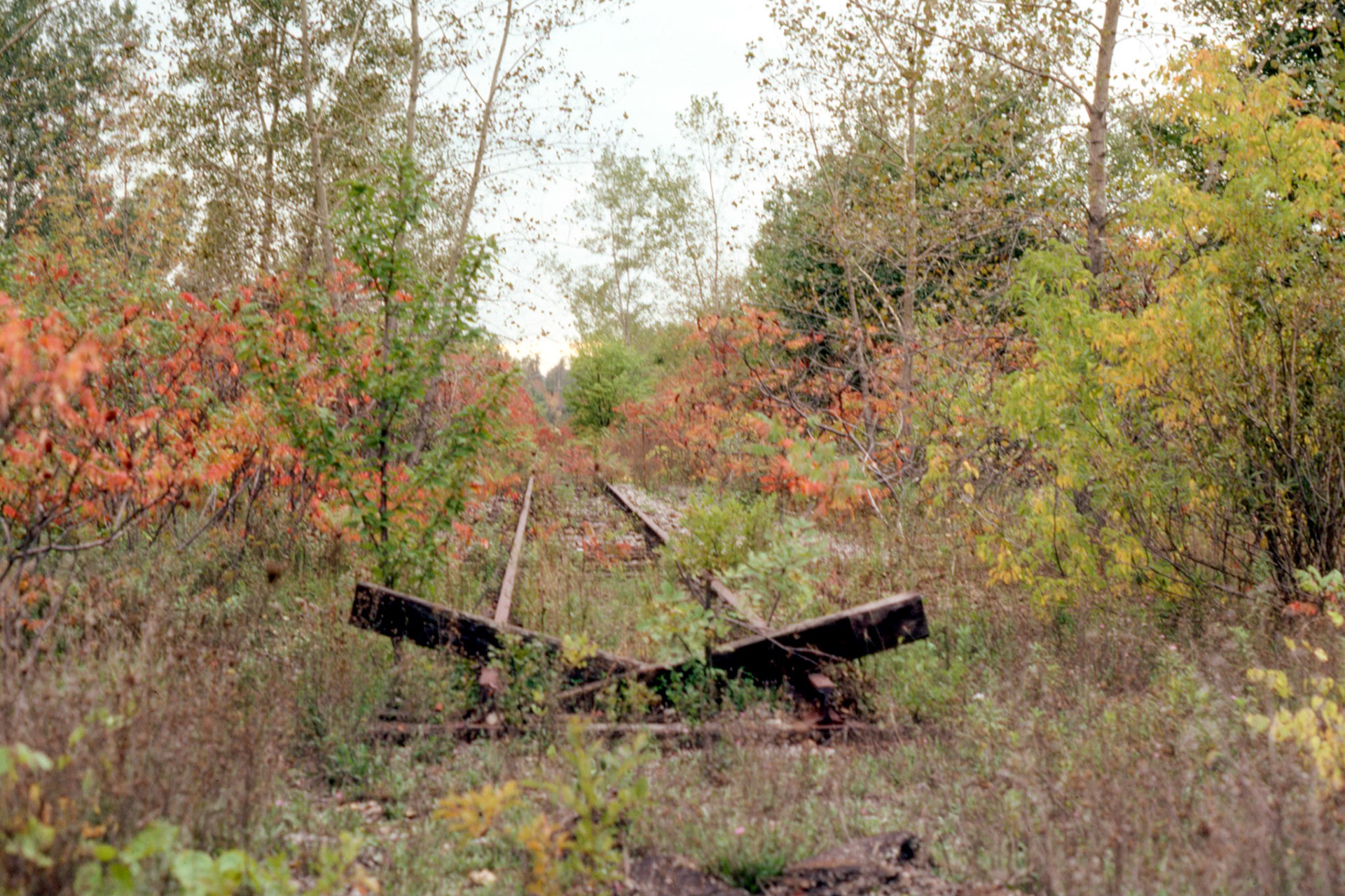 End of the line — a remaining section of the old West Shore RR just off Main St., Newark.