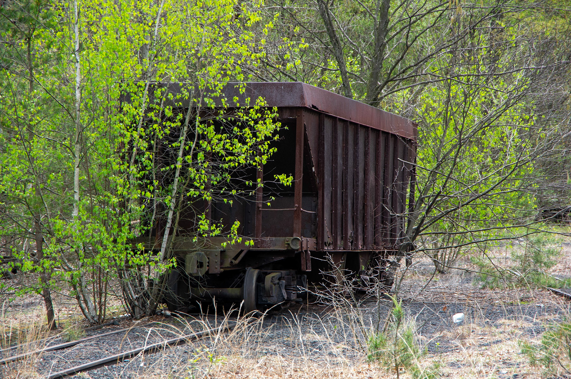 Abandonded East Broad Top narrow-gauge cars in Mt. Union, Pa. on April 23, 2017.